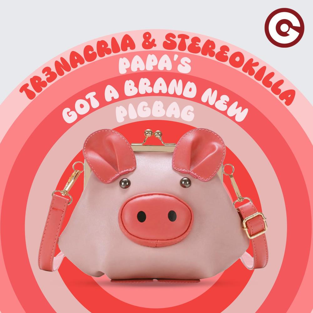 Постер альбома Papa's Got a Brand New Pigbag