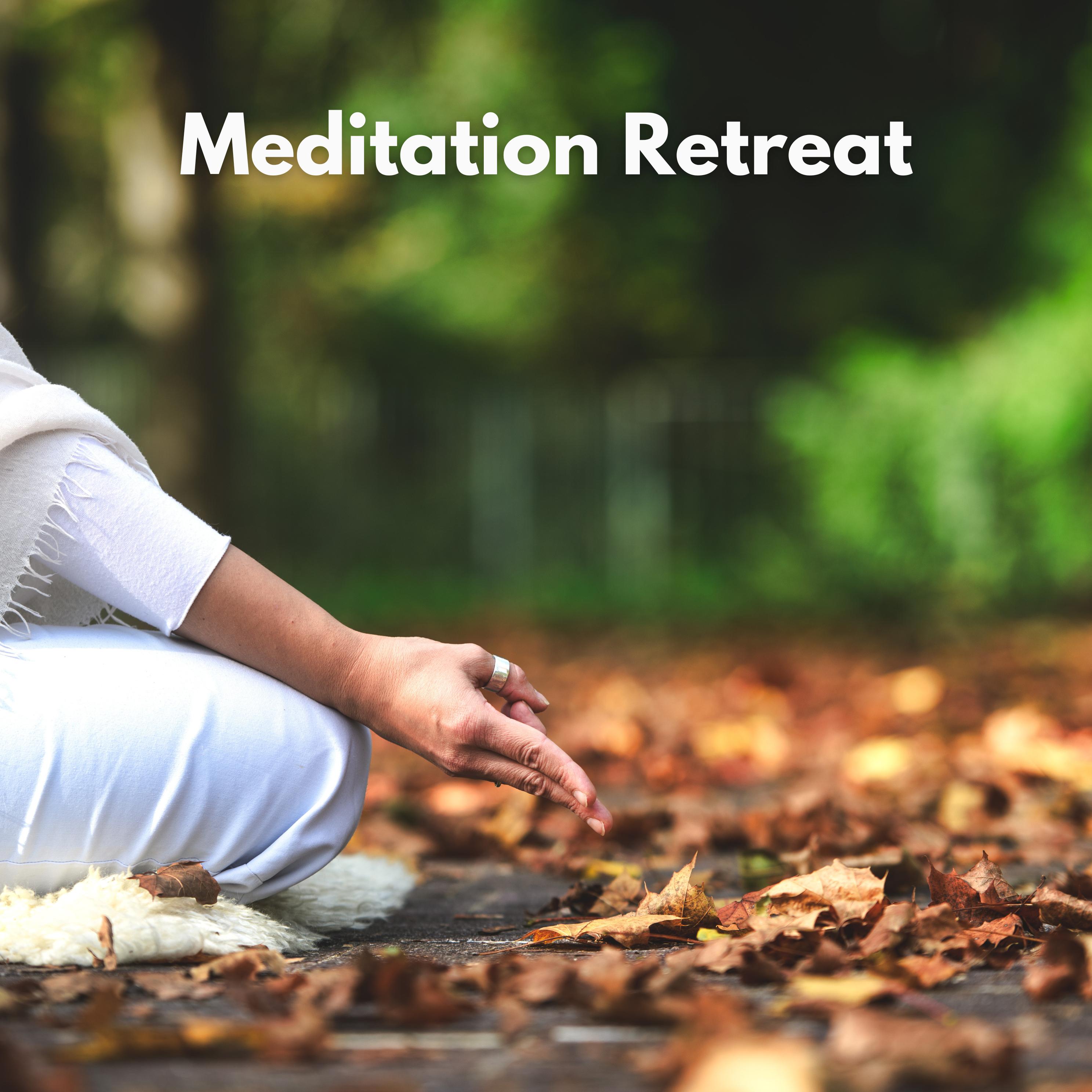 Постер альбома Meditation Retreat