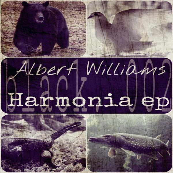 Albert Williams - Kyy (Original Mix)