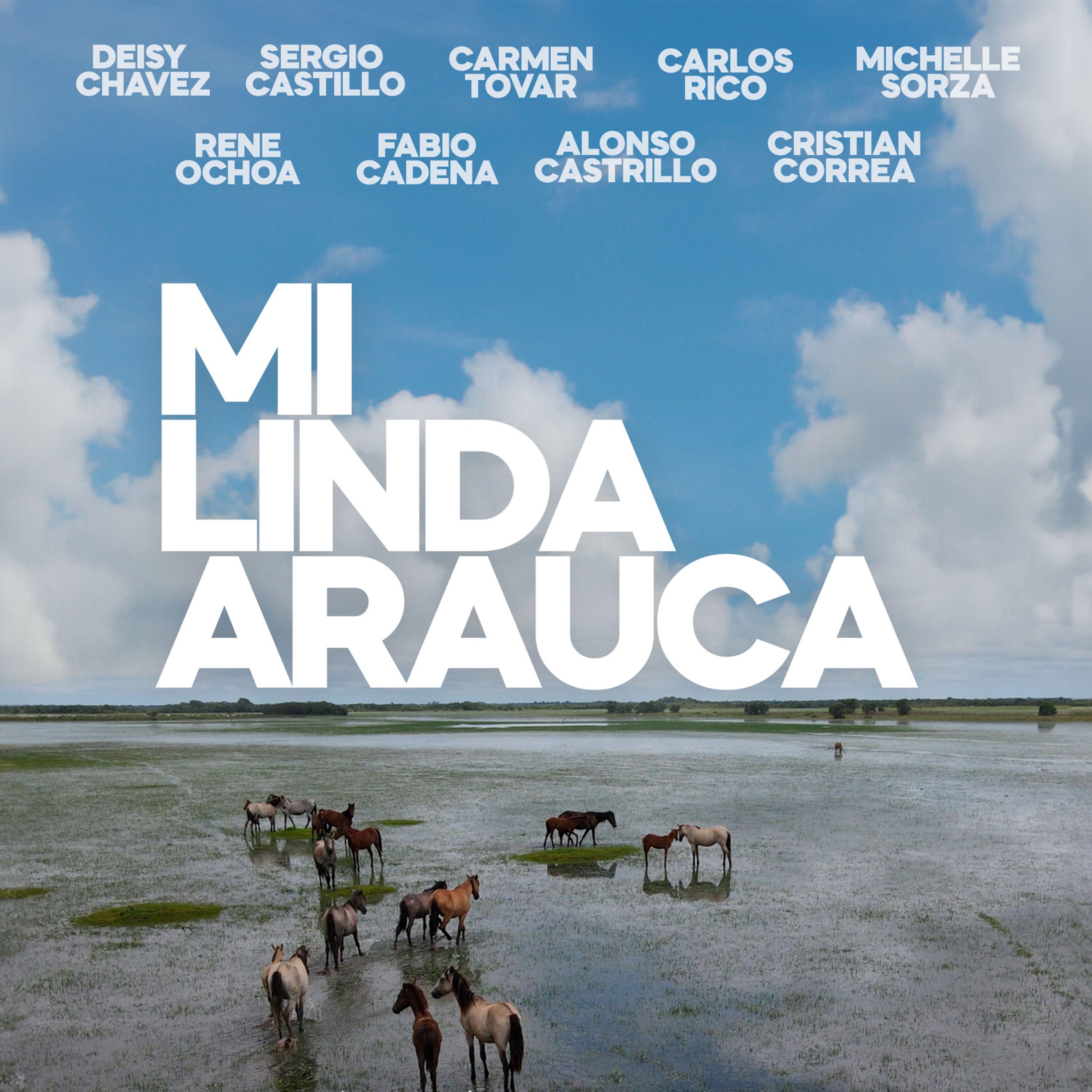 Постер альбома Mi Linda Arauca