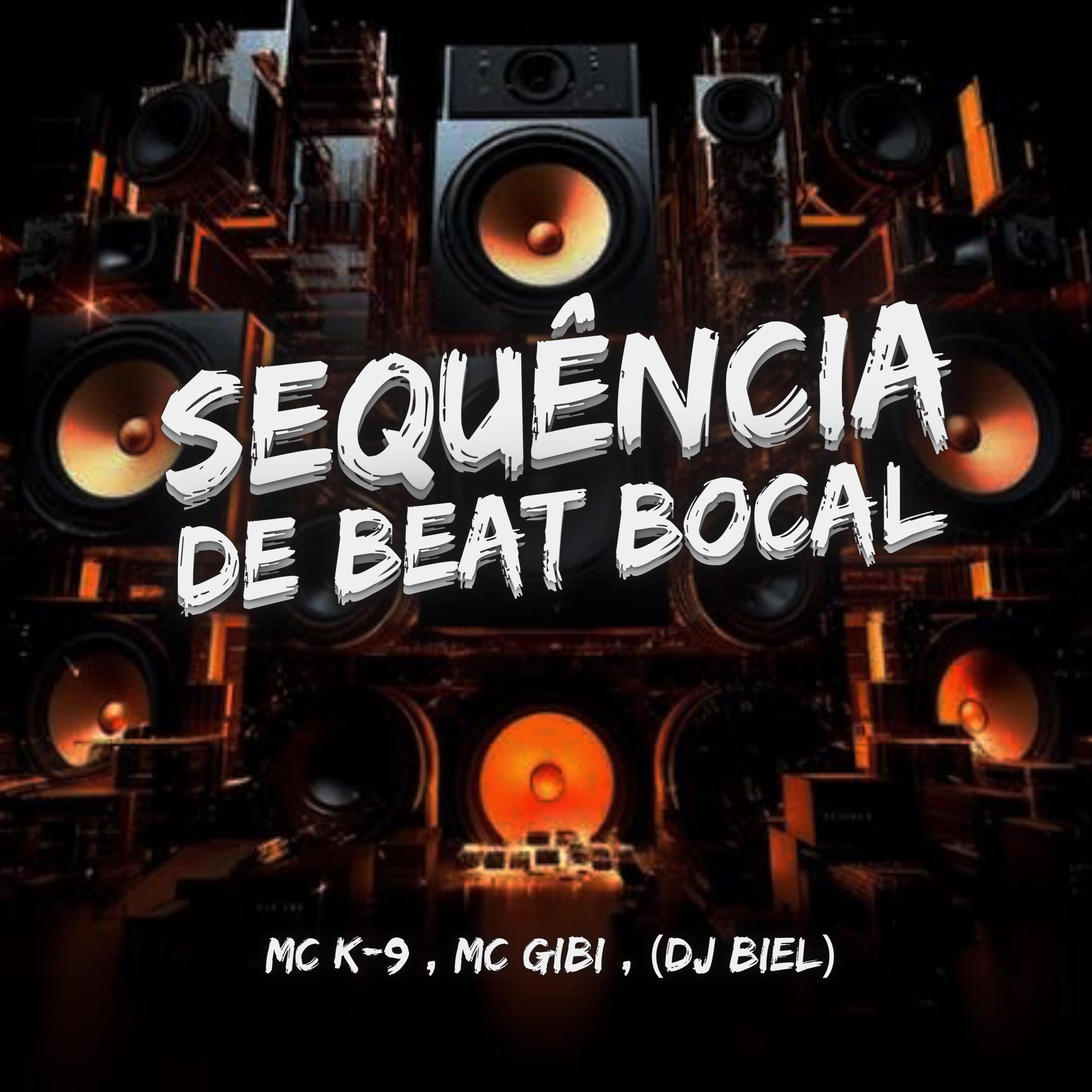 Постер альбома Sequência de Beat Bocal