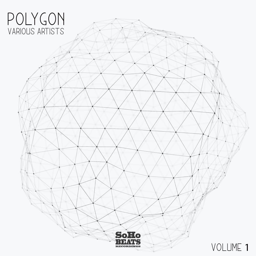 Постер альбома Polygon, Vol. 1