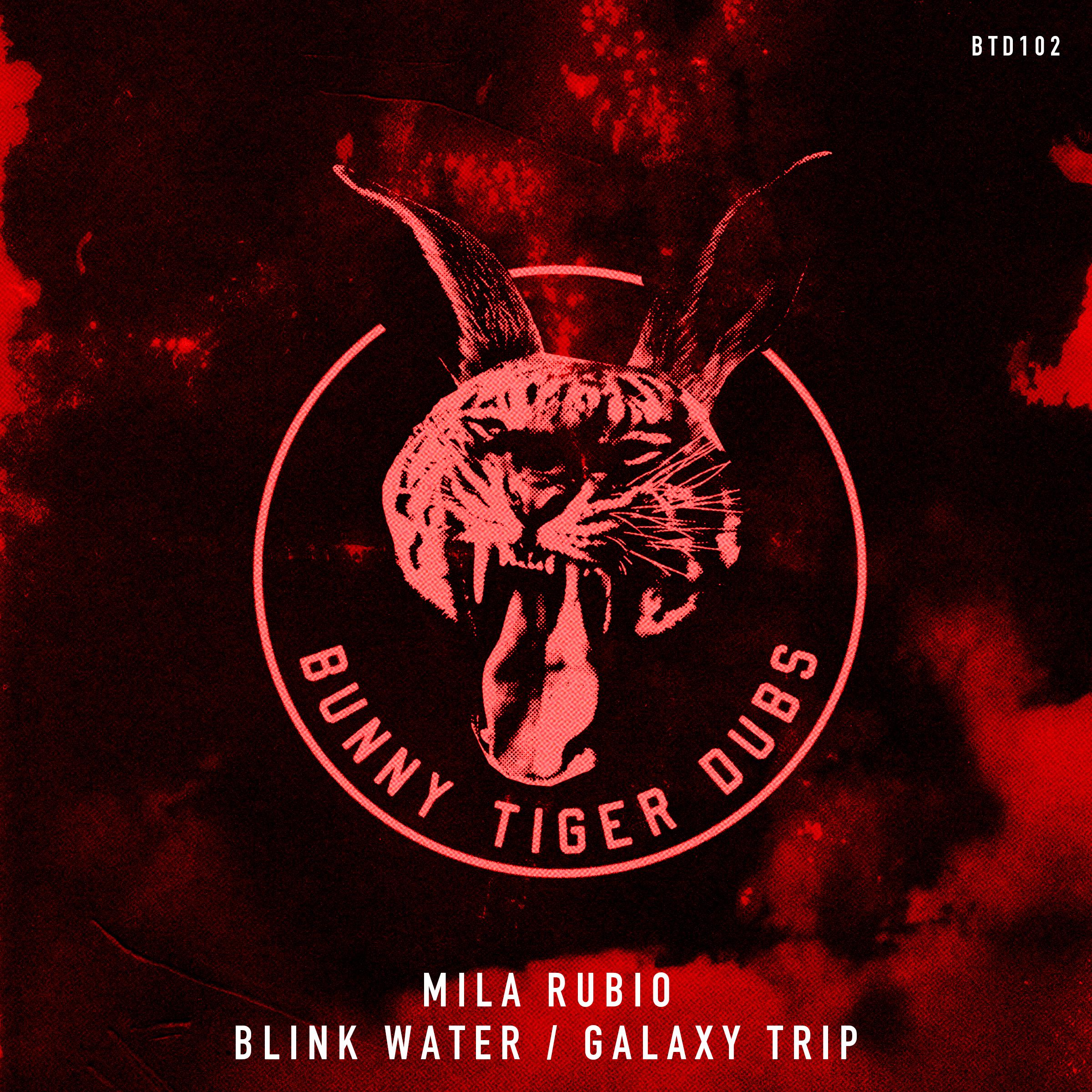 Постер альбома Blink Water / Galaxy Trip