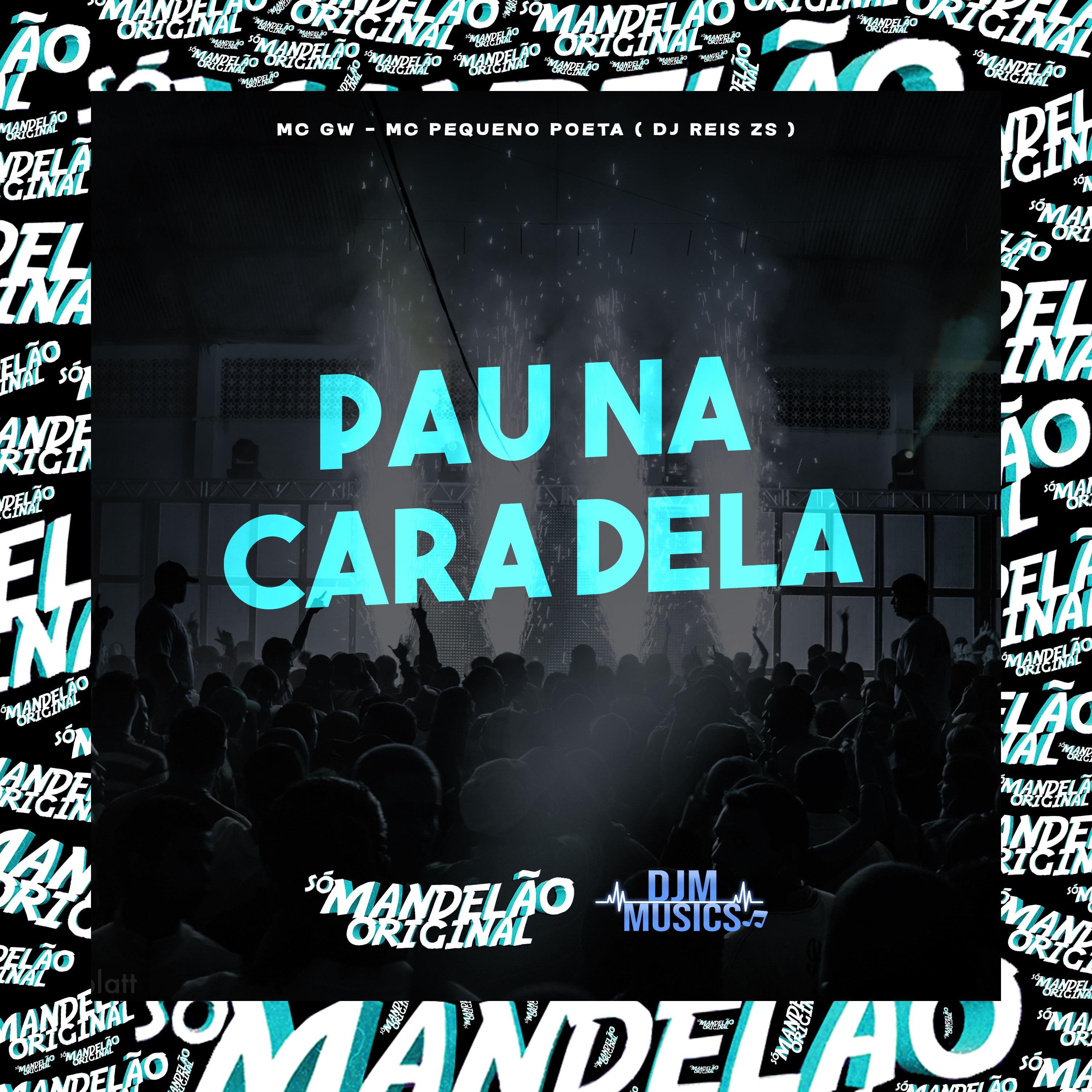 Постер альбома Pau na Cara Dela