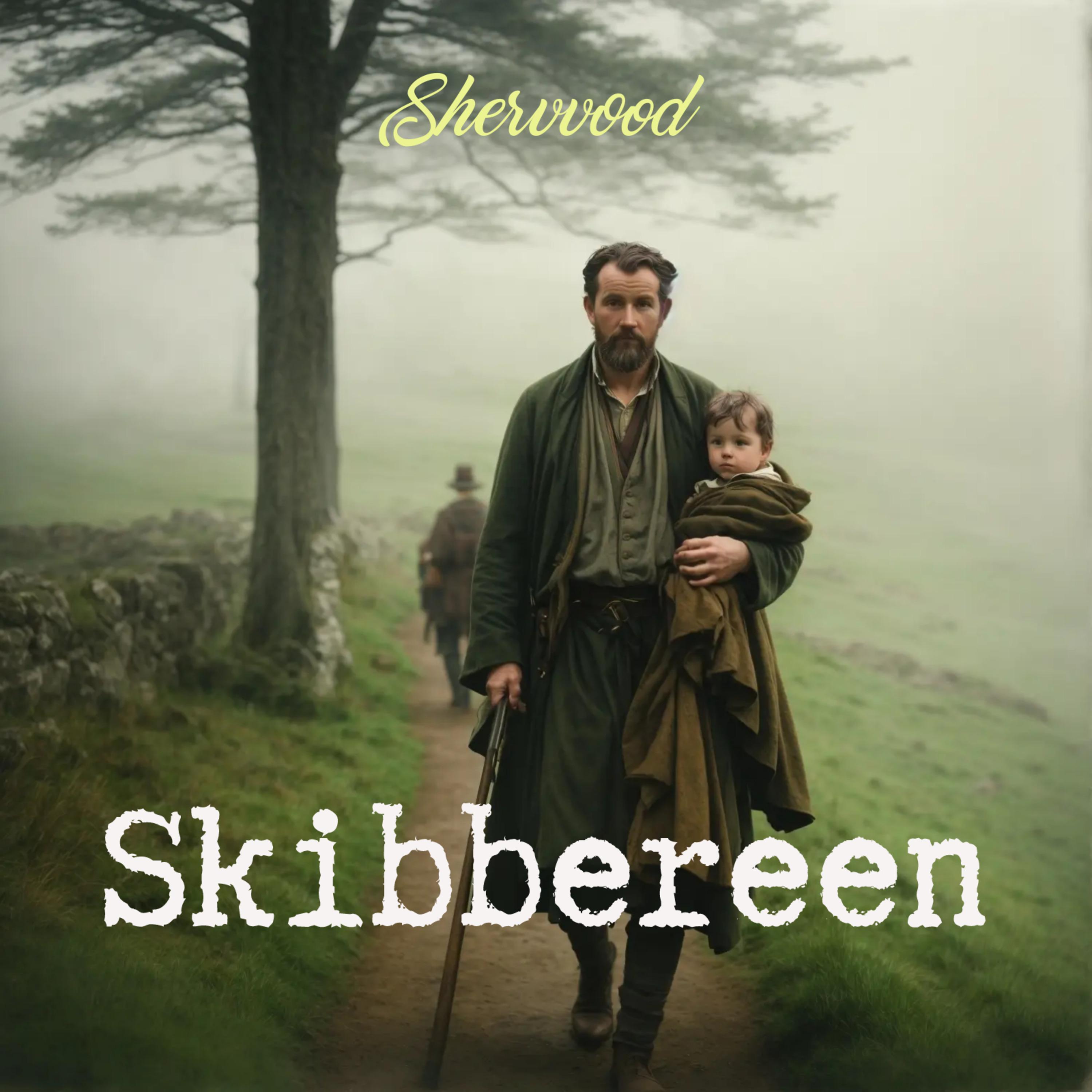 Постер альбома Skibbereen