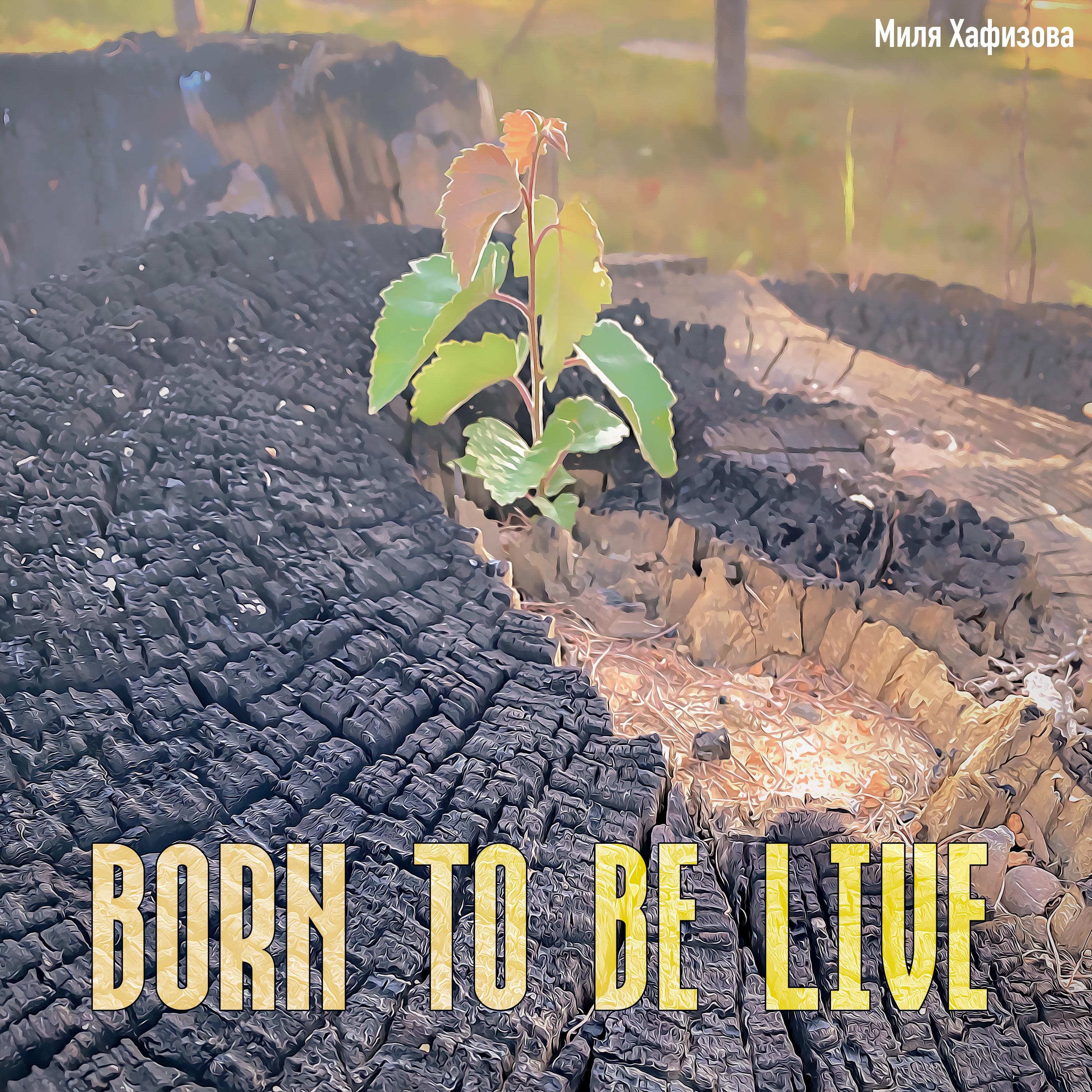 Постер альбома Born to be live