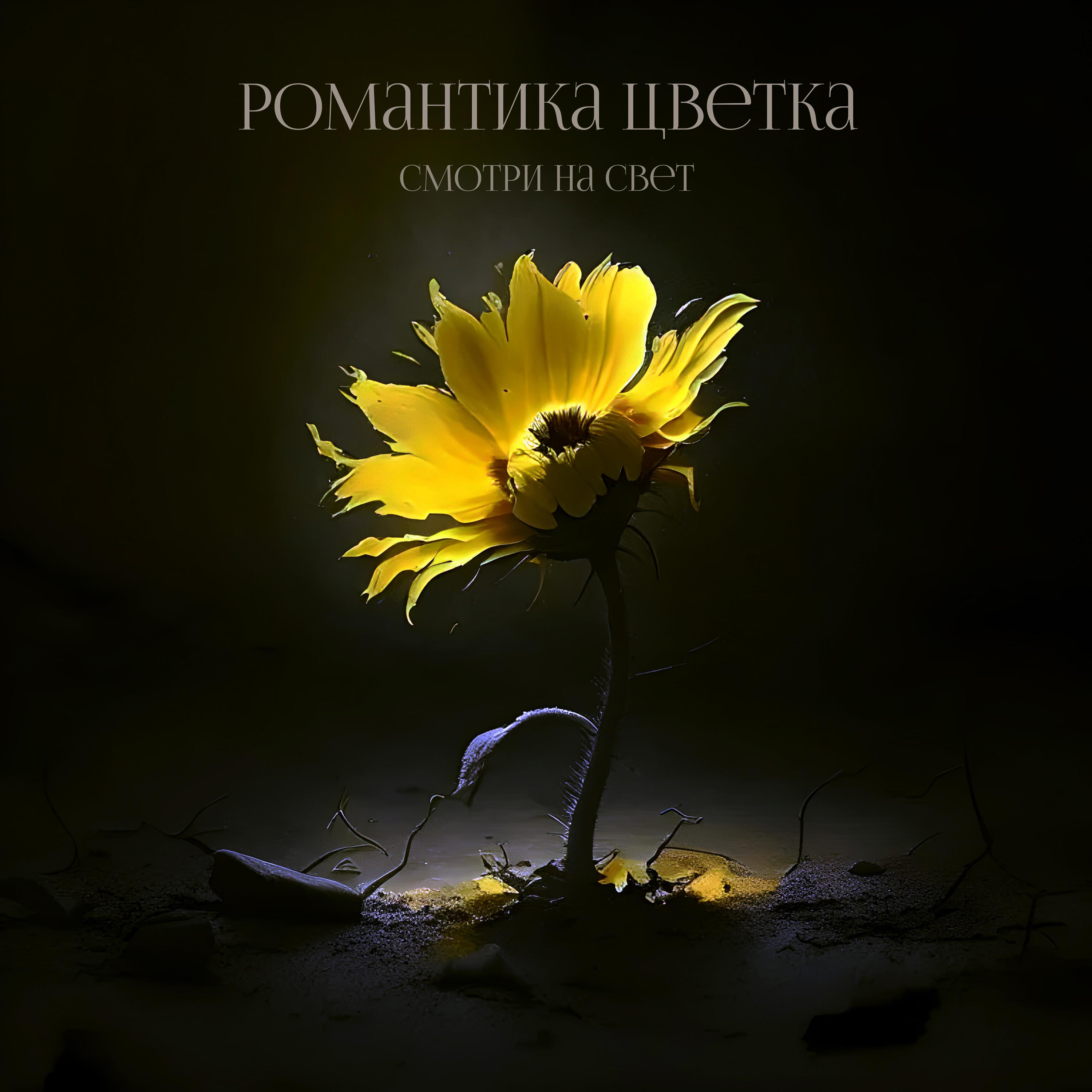 Постер альбома Романтика цветка