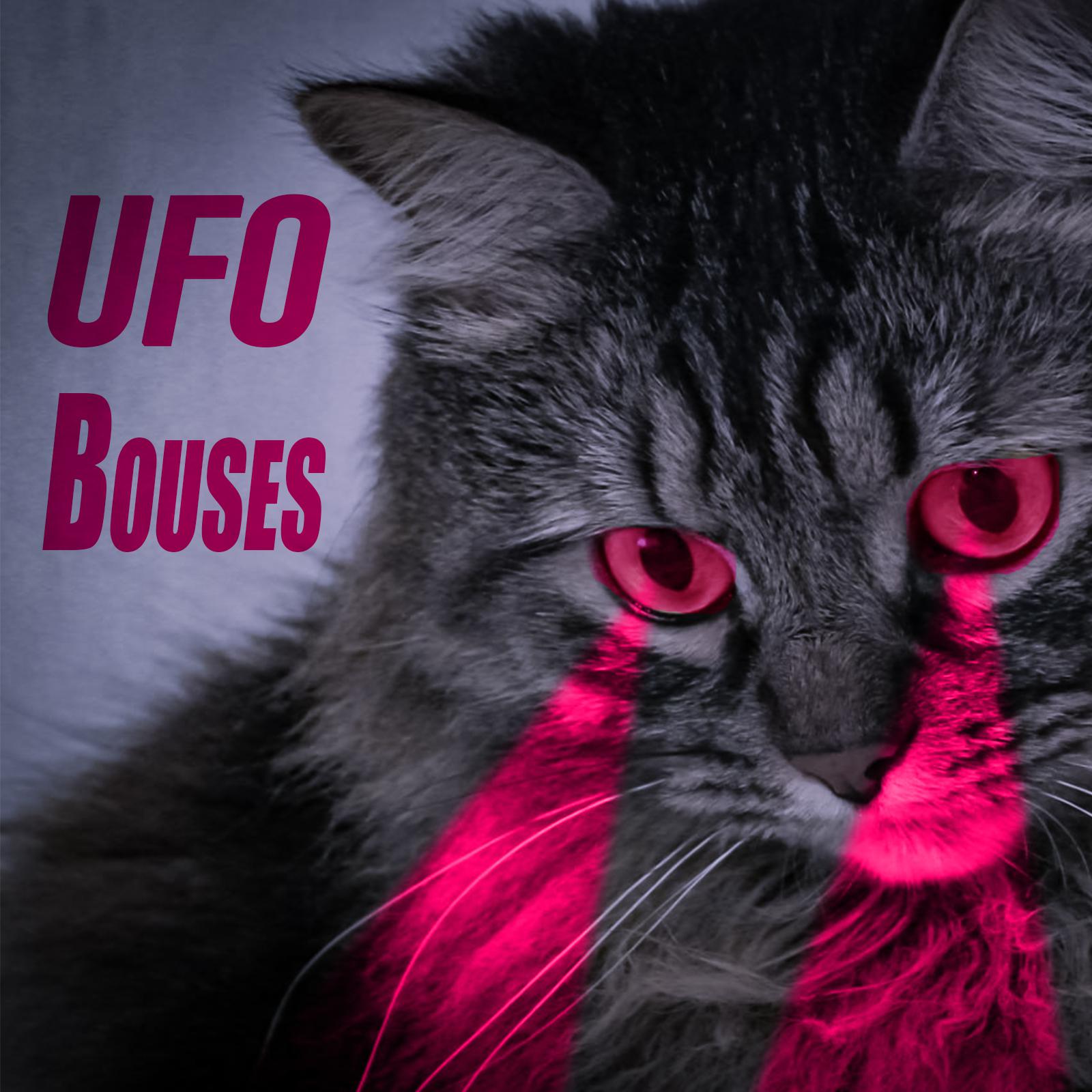 Постер альбома Ufo Bouses