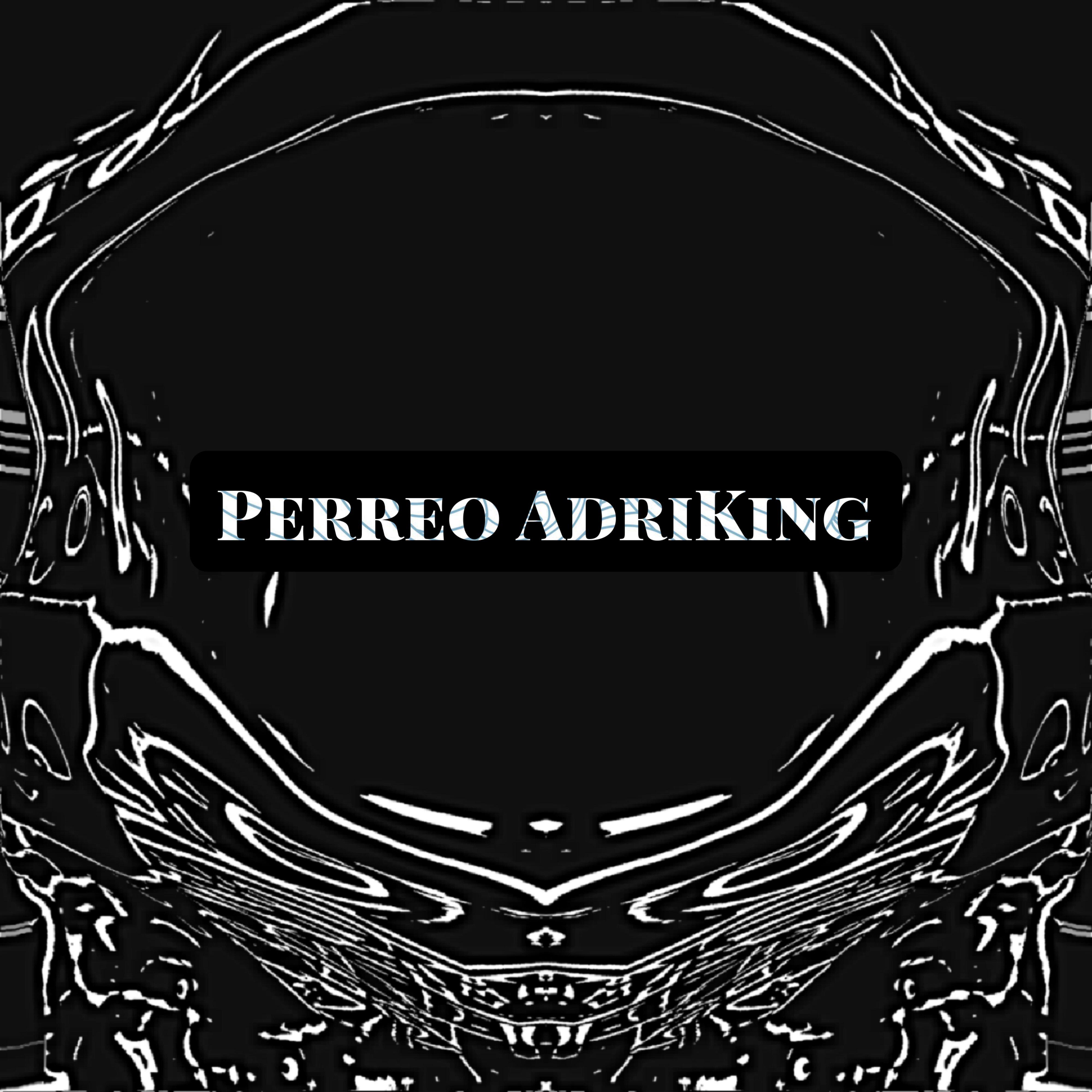 Постер альбома Perreo Adriking