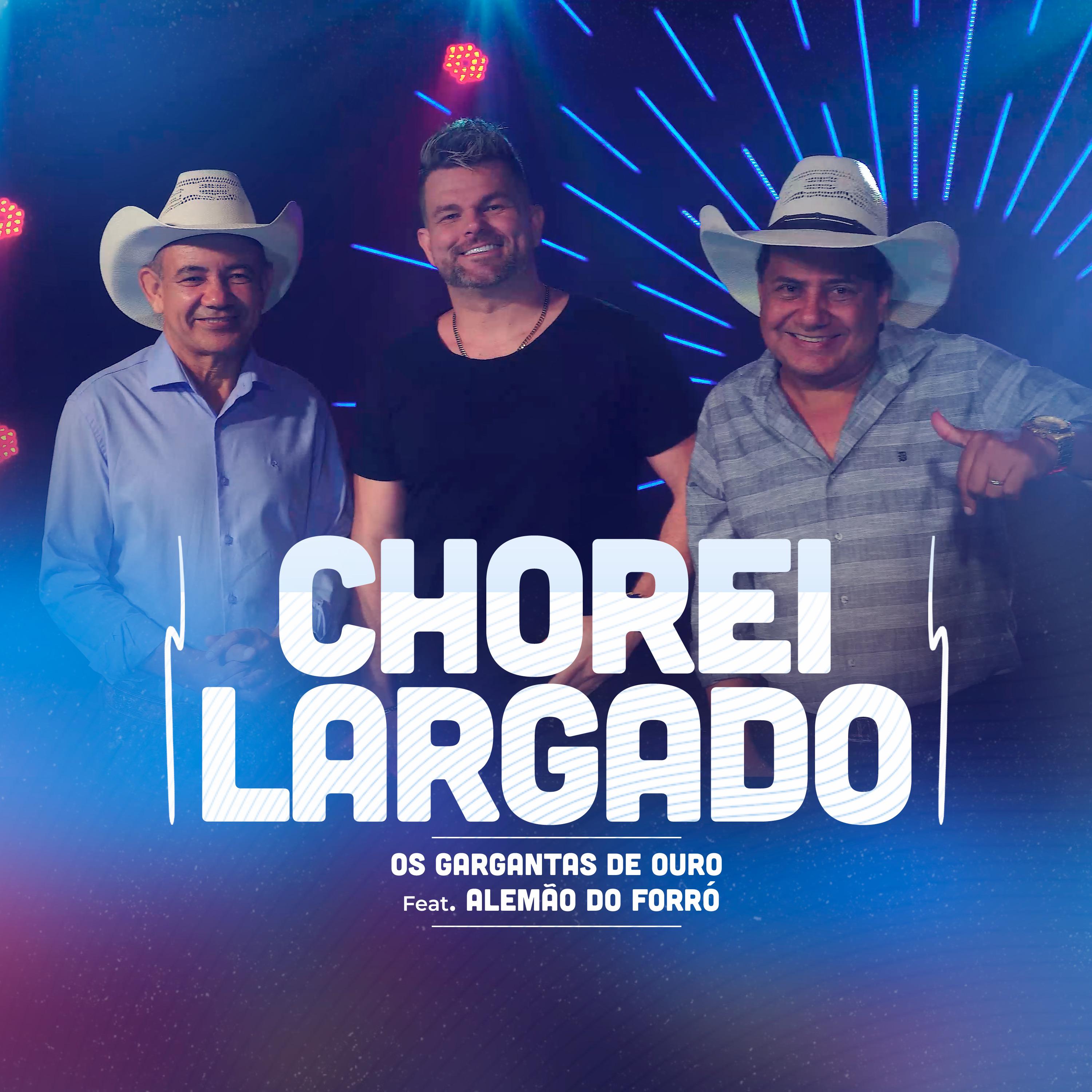 Постер альбома Chorei Largado