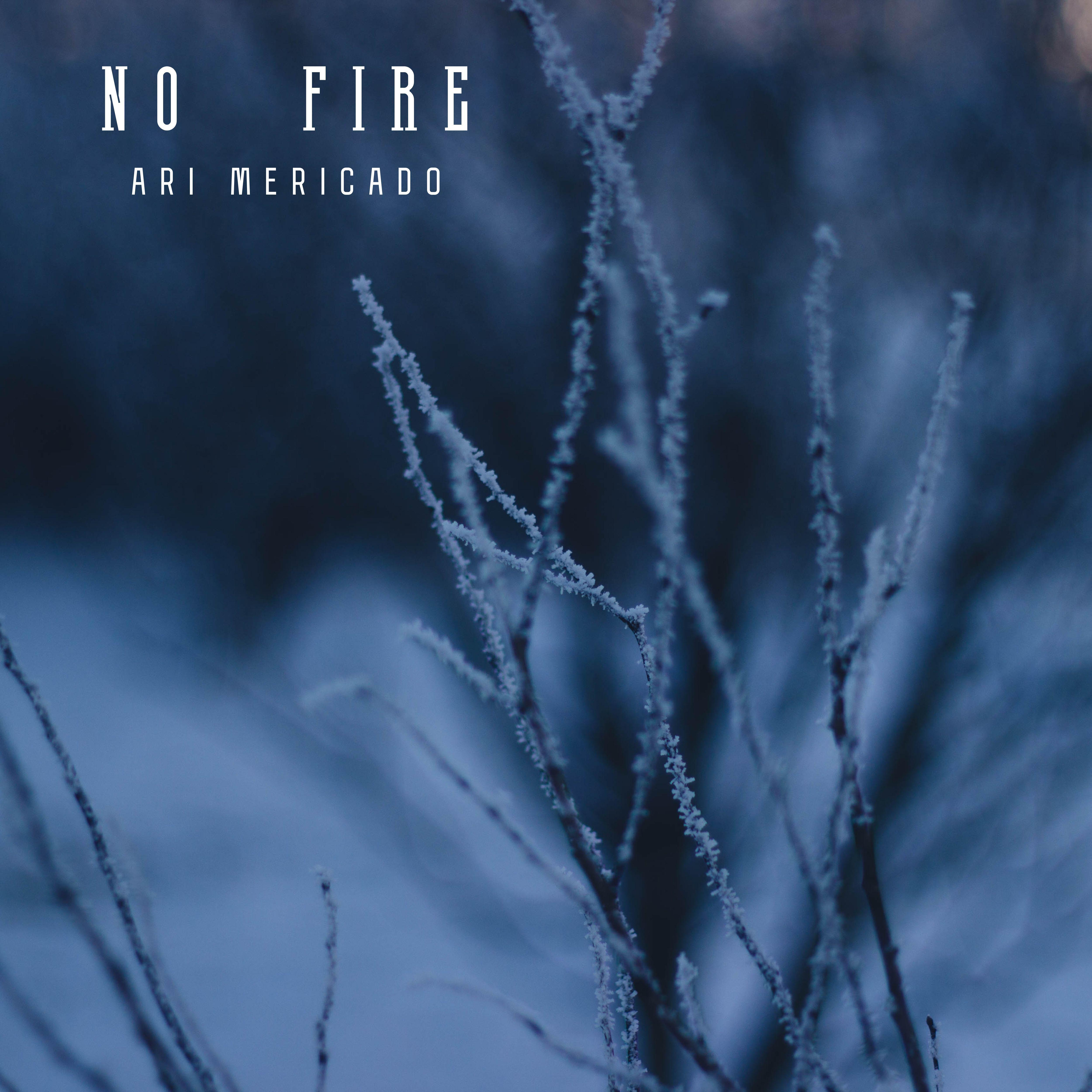 Постер альбома No Fire