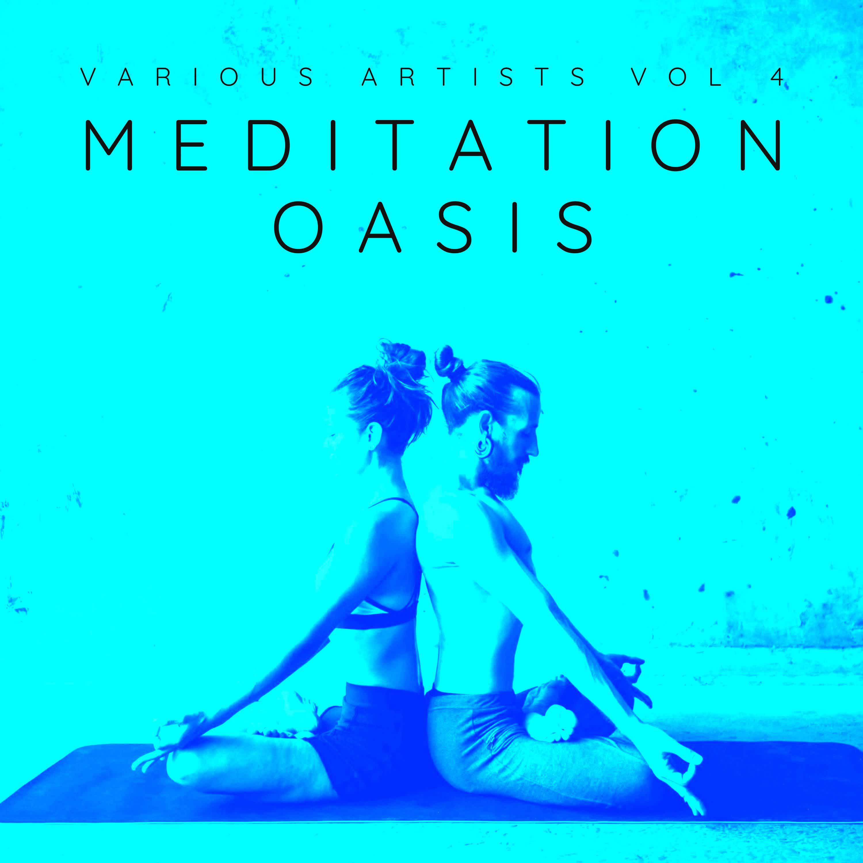 Постер альбома Meditation Oasis, Vol. 4