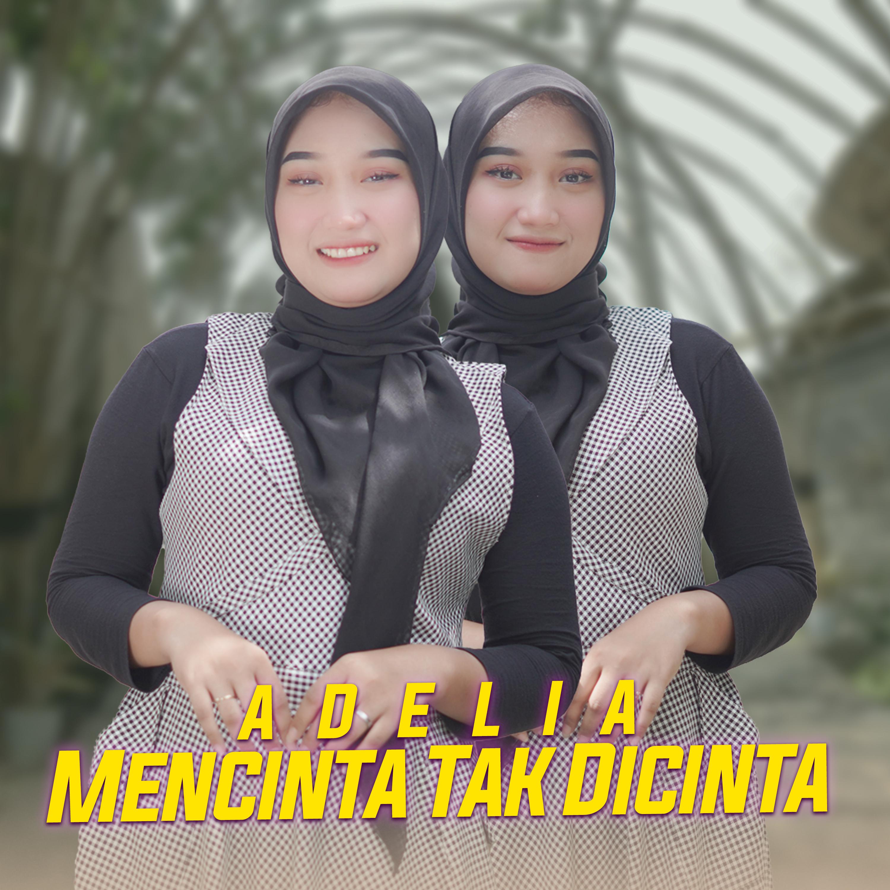 Постер альбома Mencinta Tak Dicinta