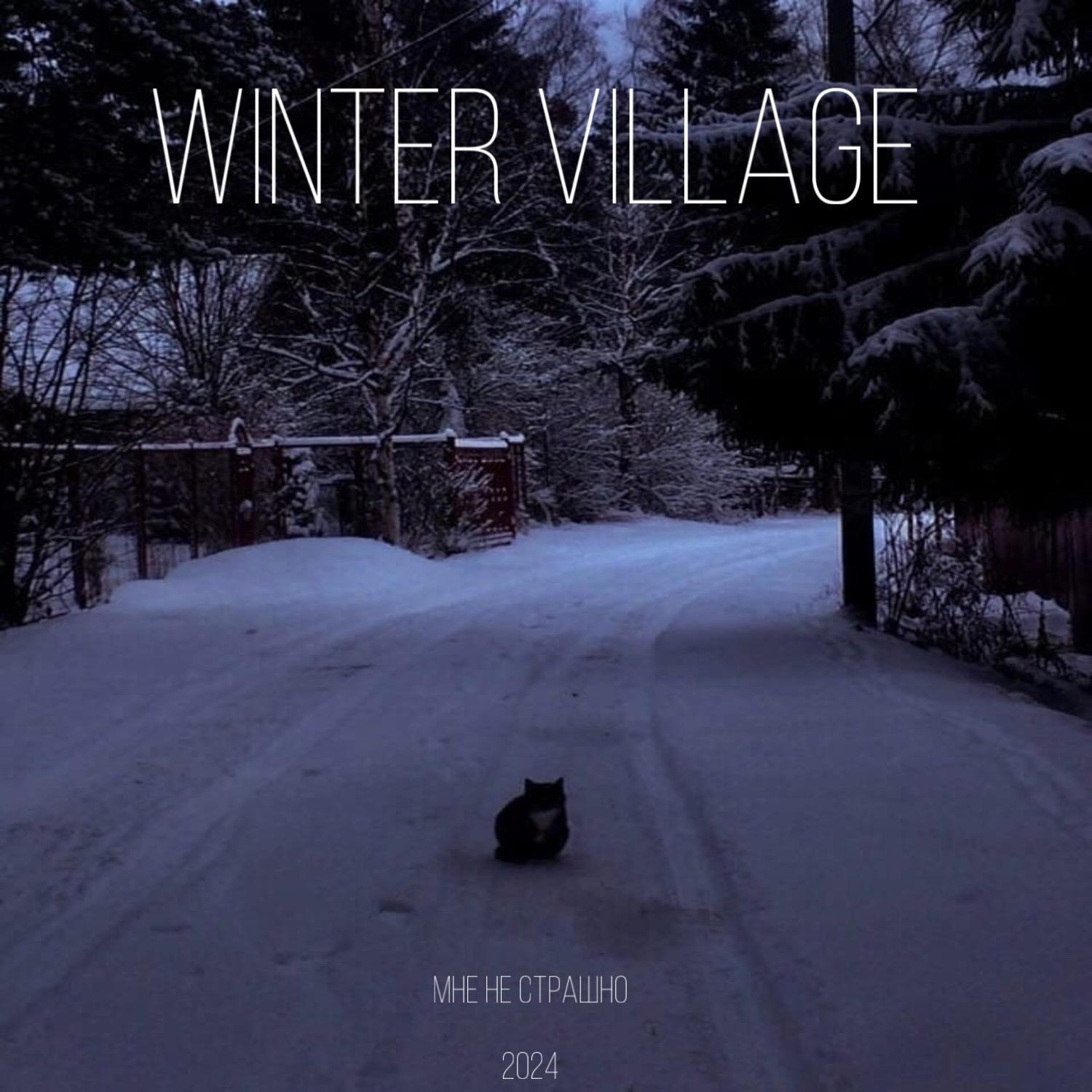 Постер альбома Winter village