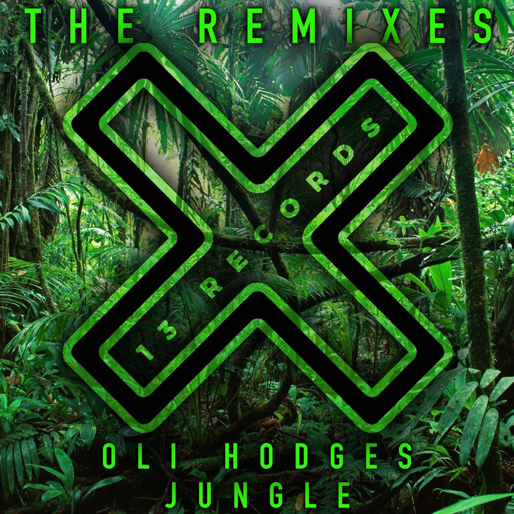 Постер альбома Jungle (The Remixes)