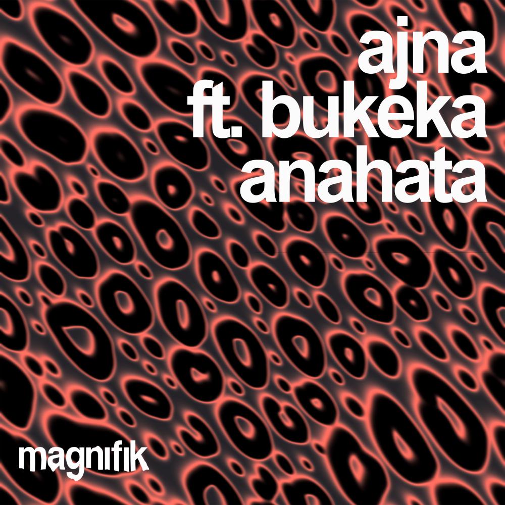 Постер альбома Anahata