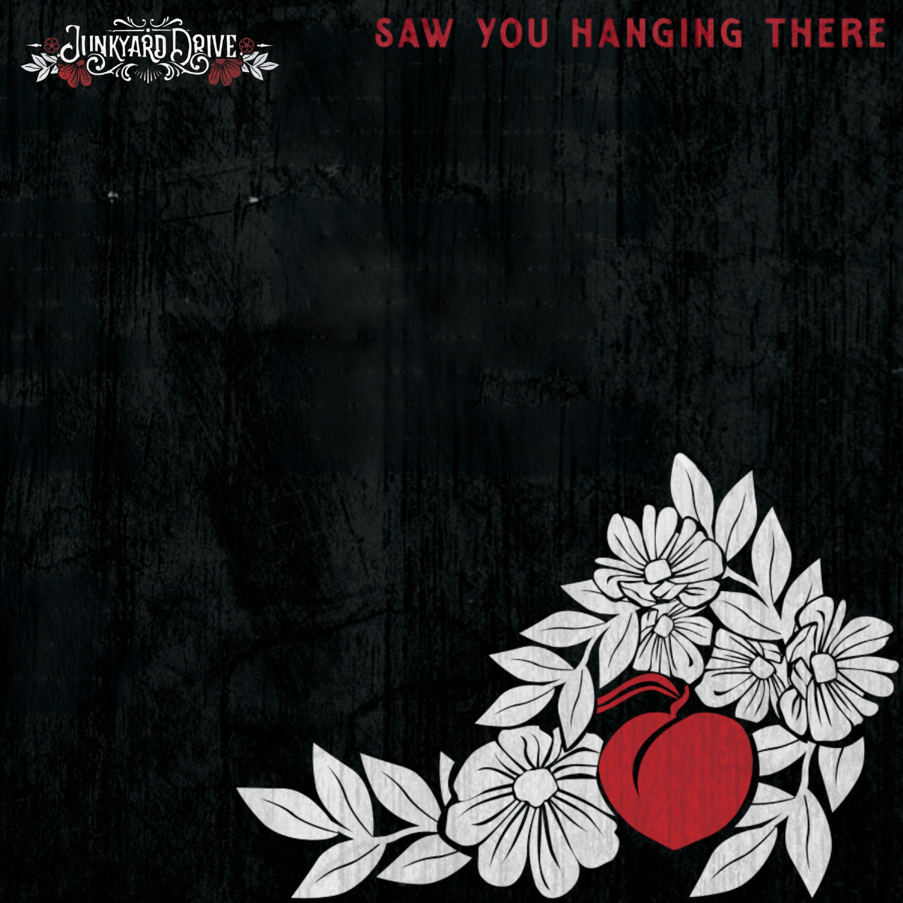 Постер альбома Saw You Hanging There