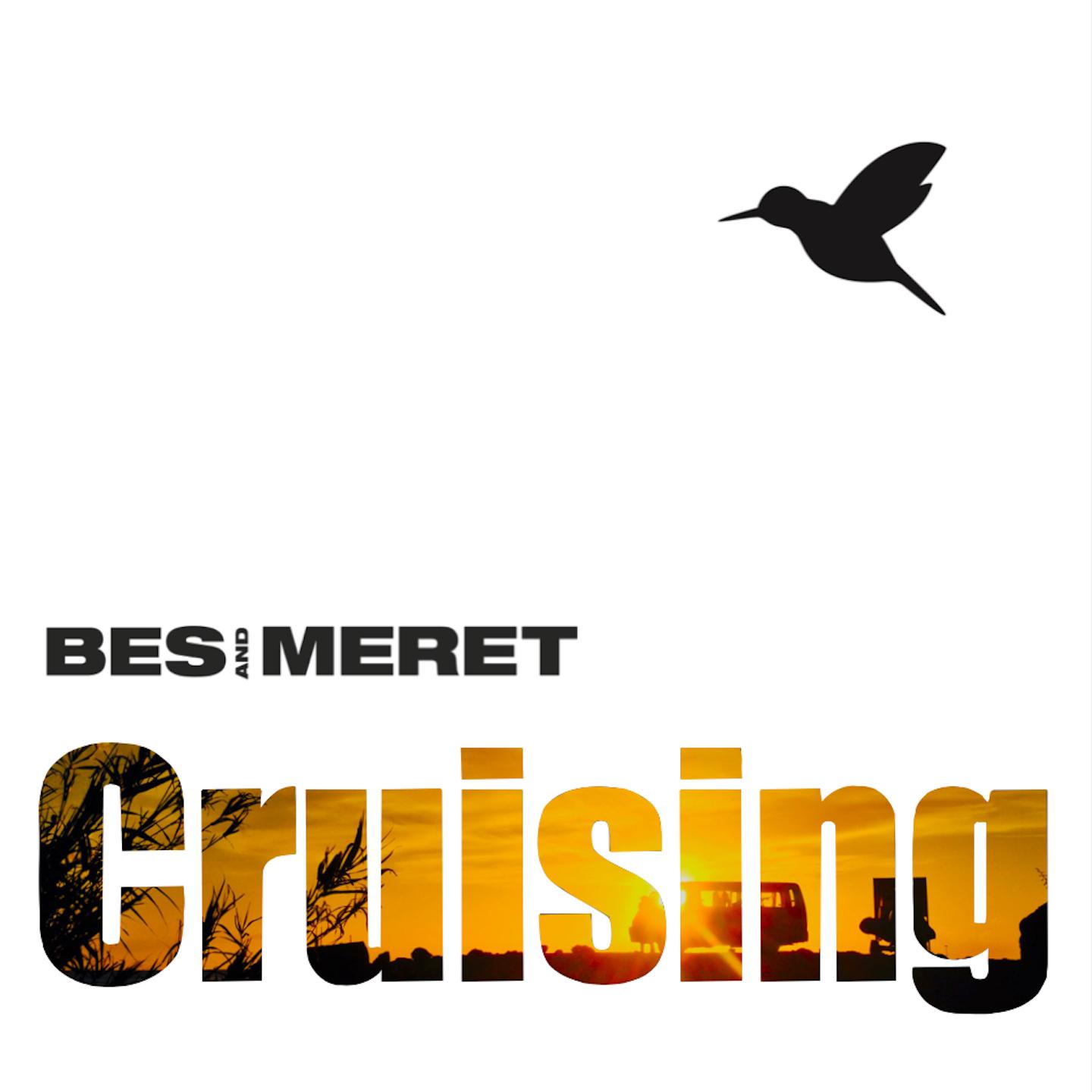 Постер альбома Cruising