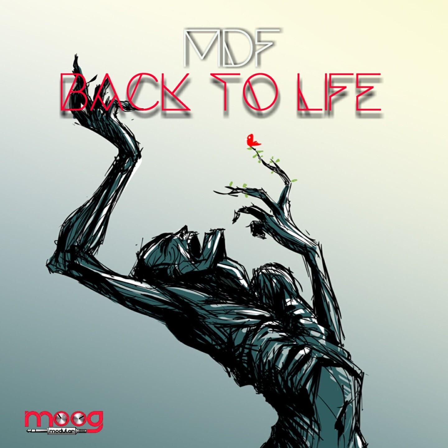 MDF - Mission