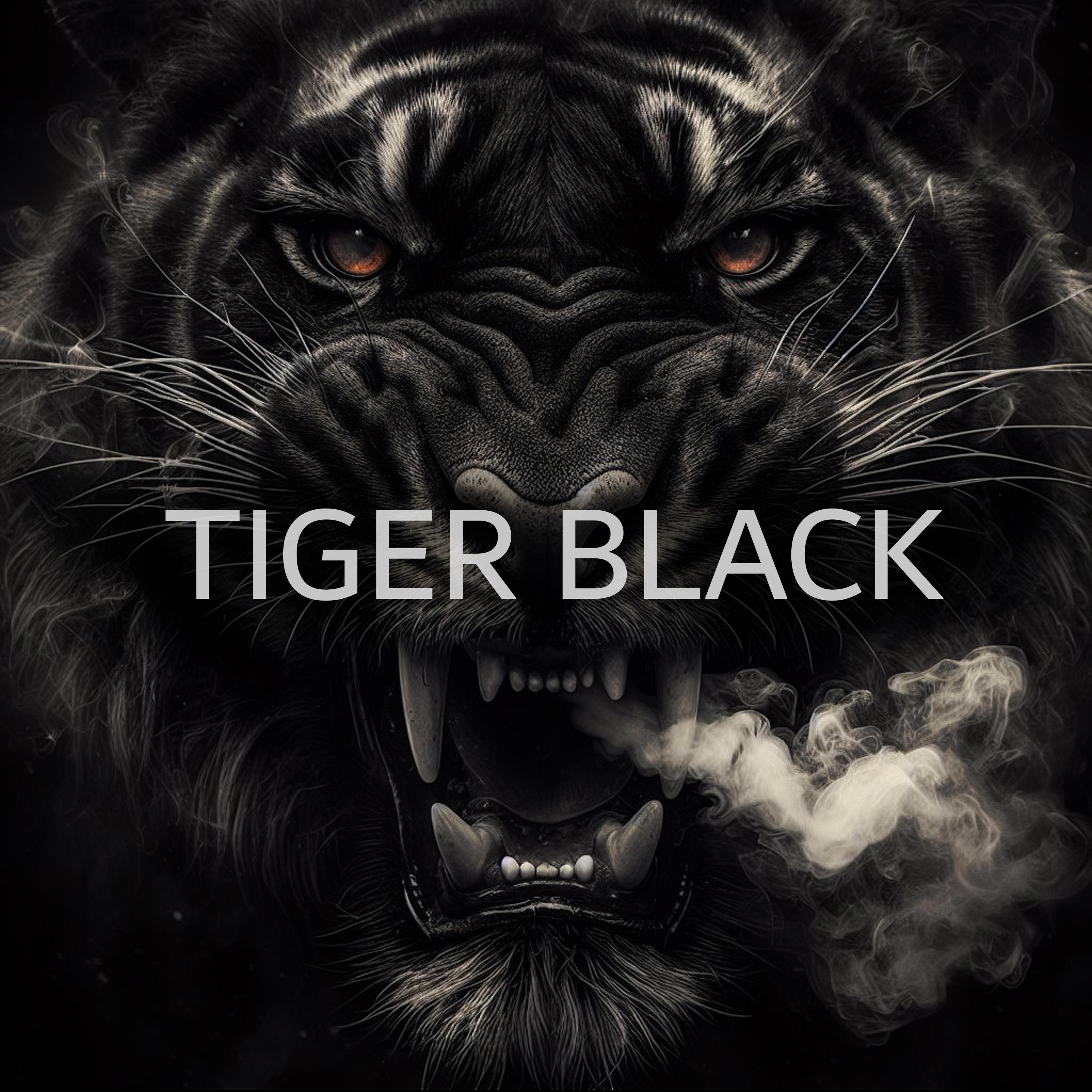 Постер альбома Tiger Black