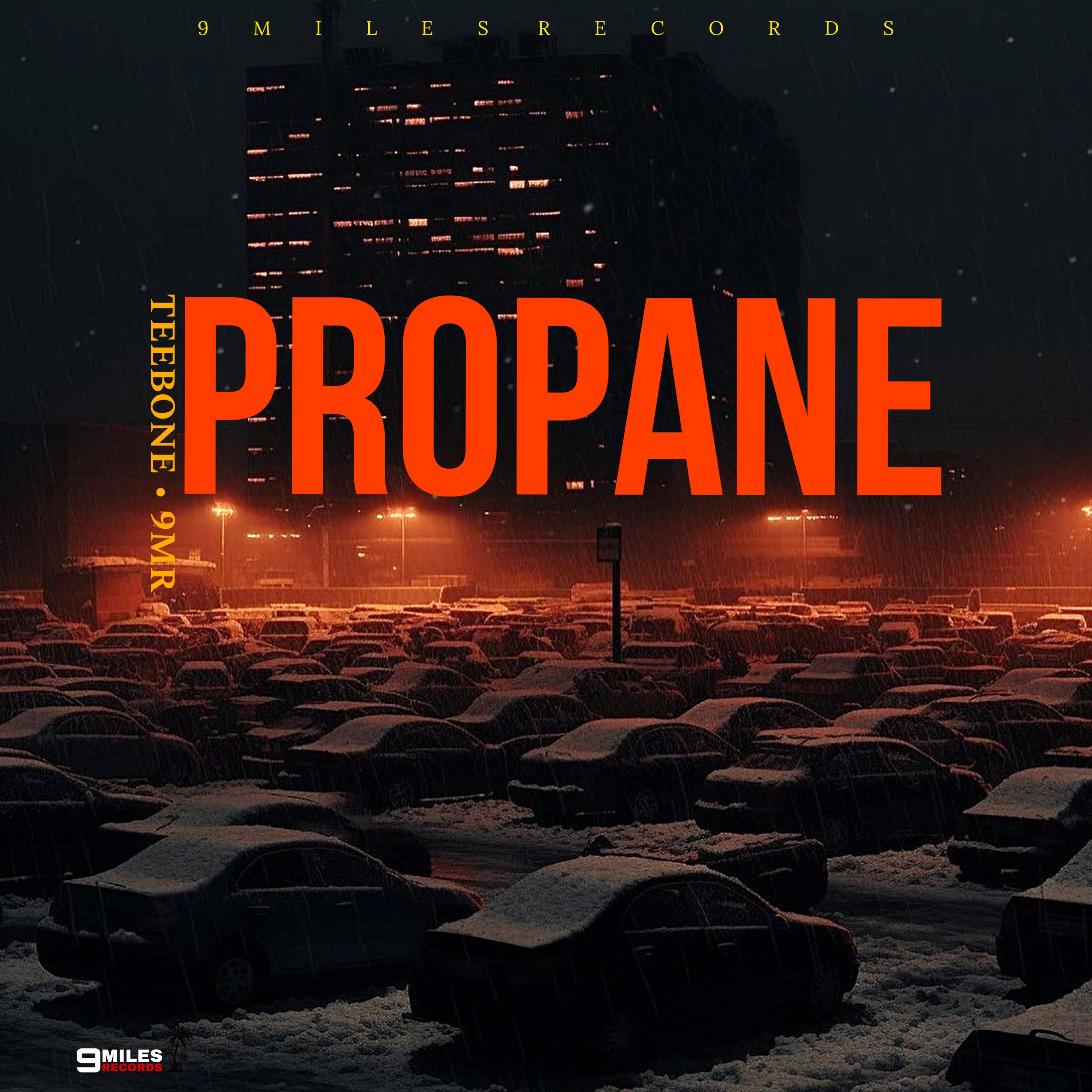 Постер альбома Propane