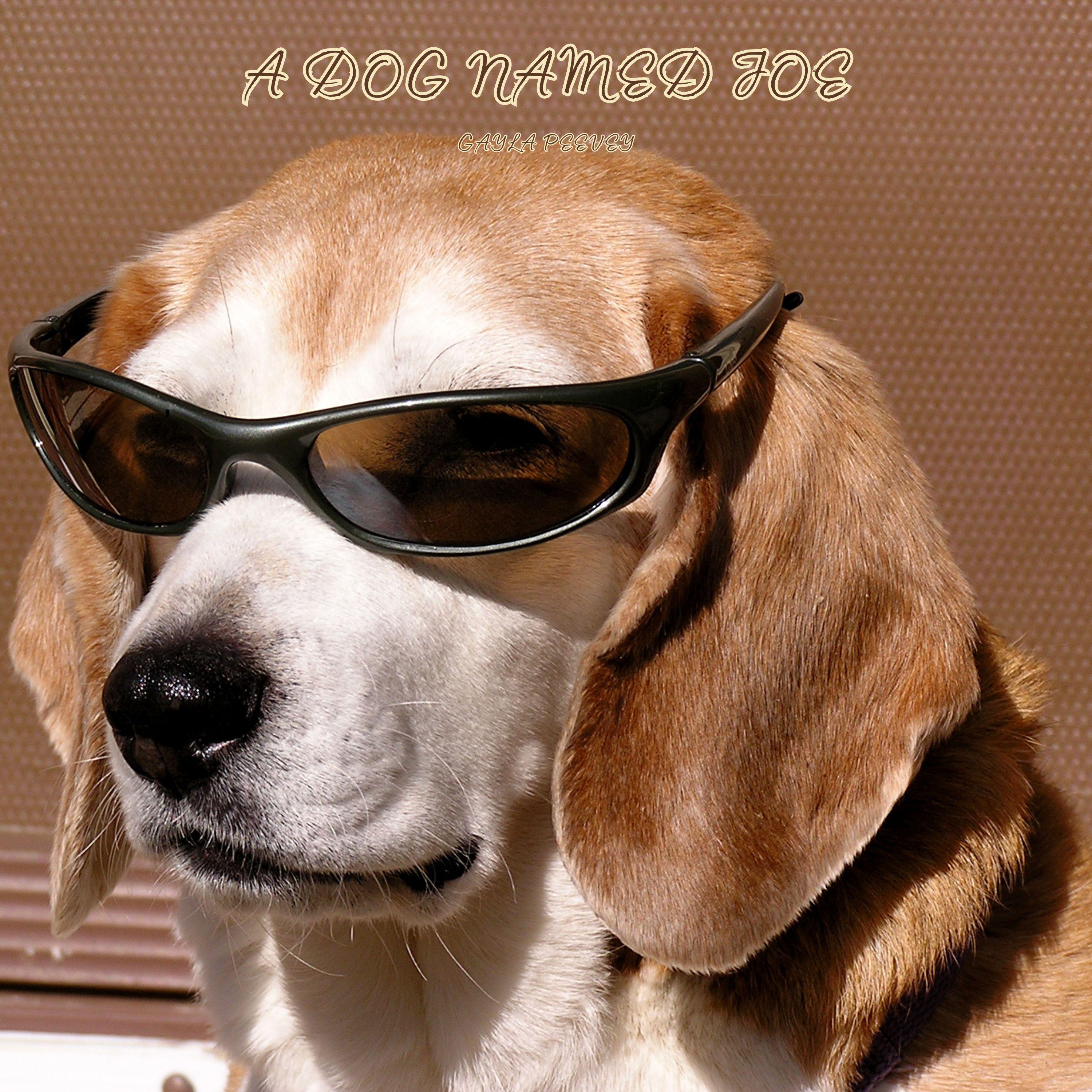 Постер альбома A Dog Named Joe