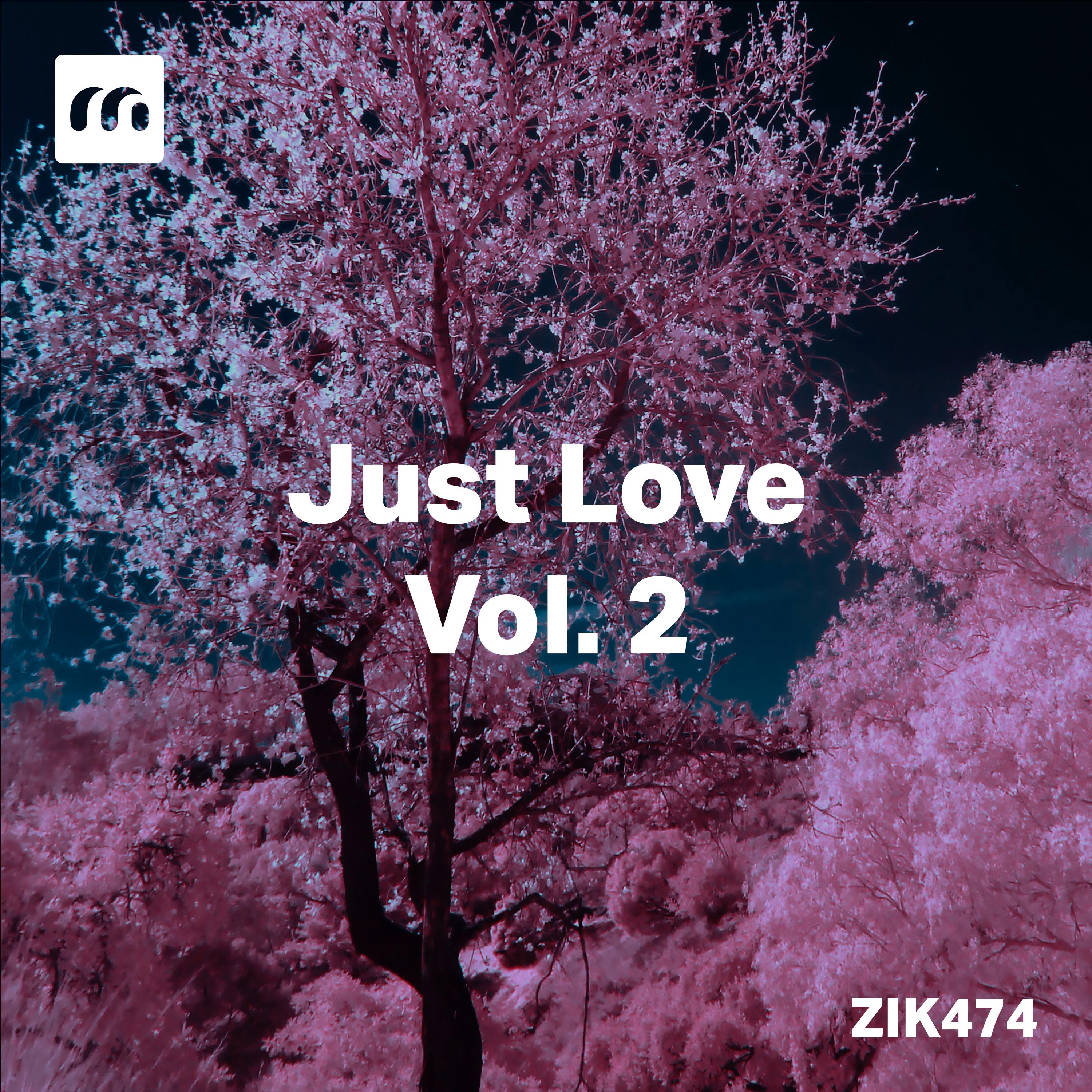 Постер альбома Just Love, Vol. 2