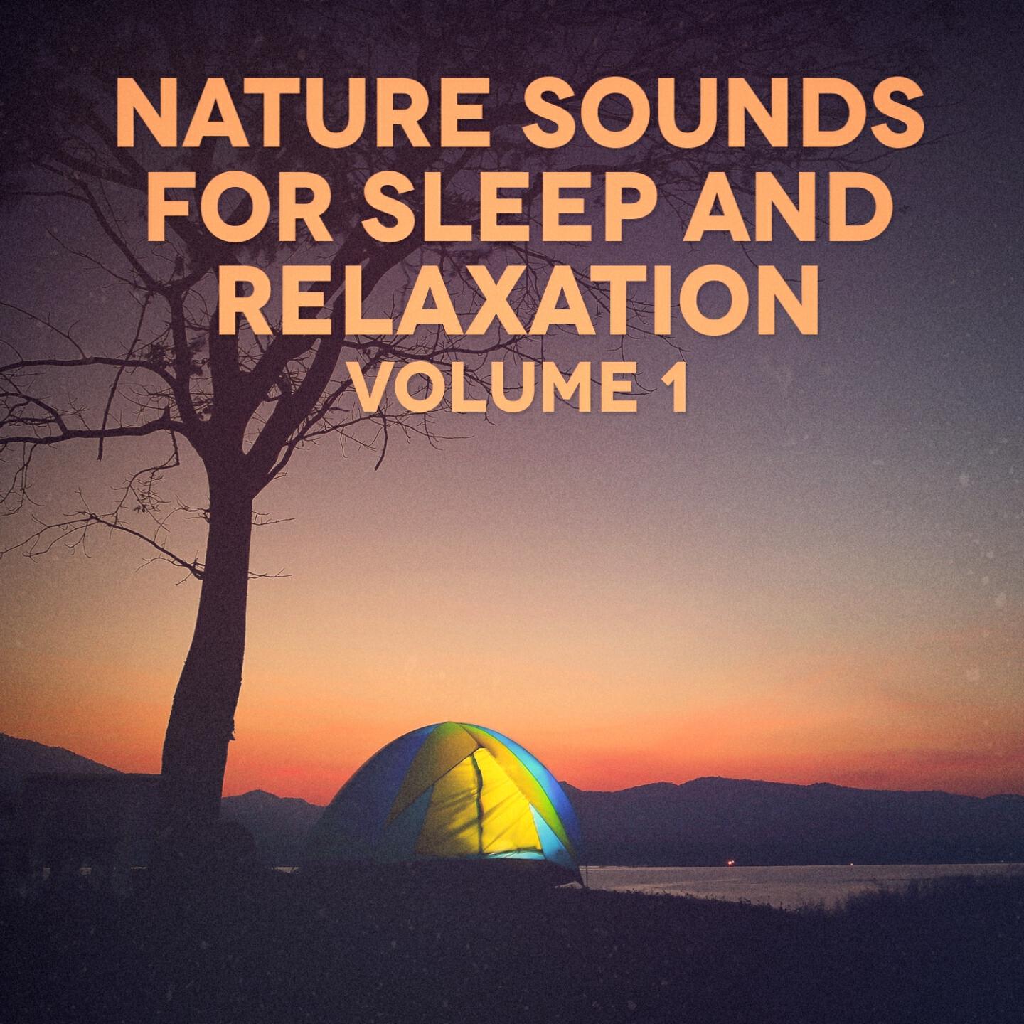 Michael Hamilton - River Sounds: Winds accross a stream