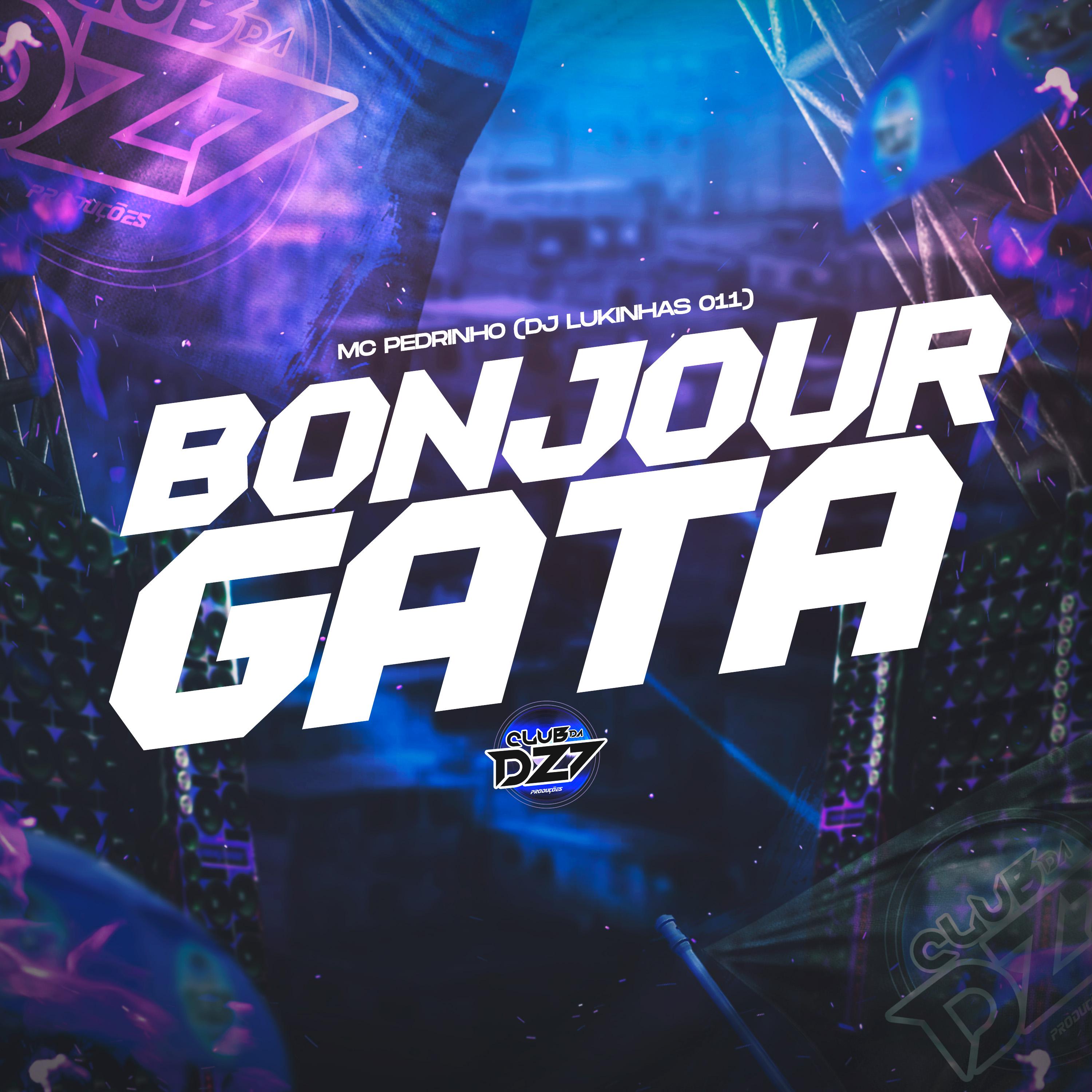 Постер альбома BONJOUR GATA