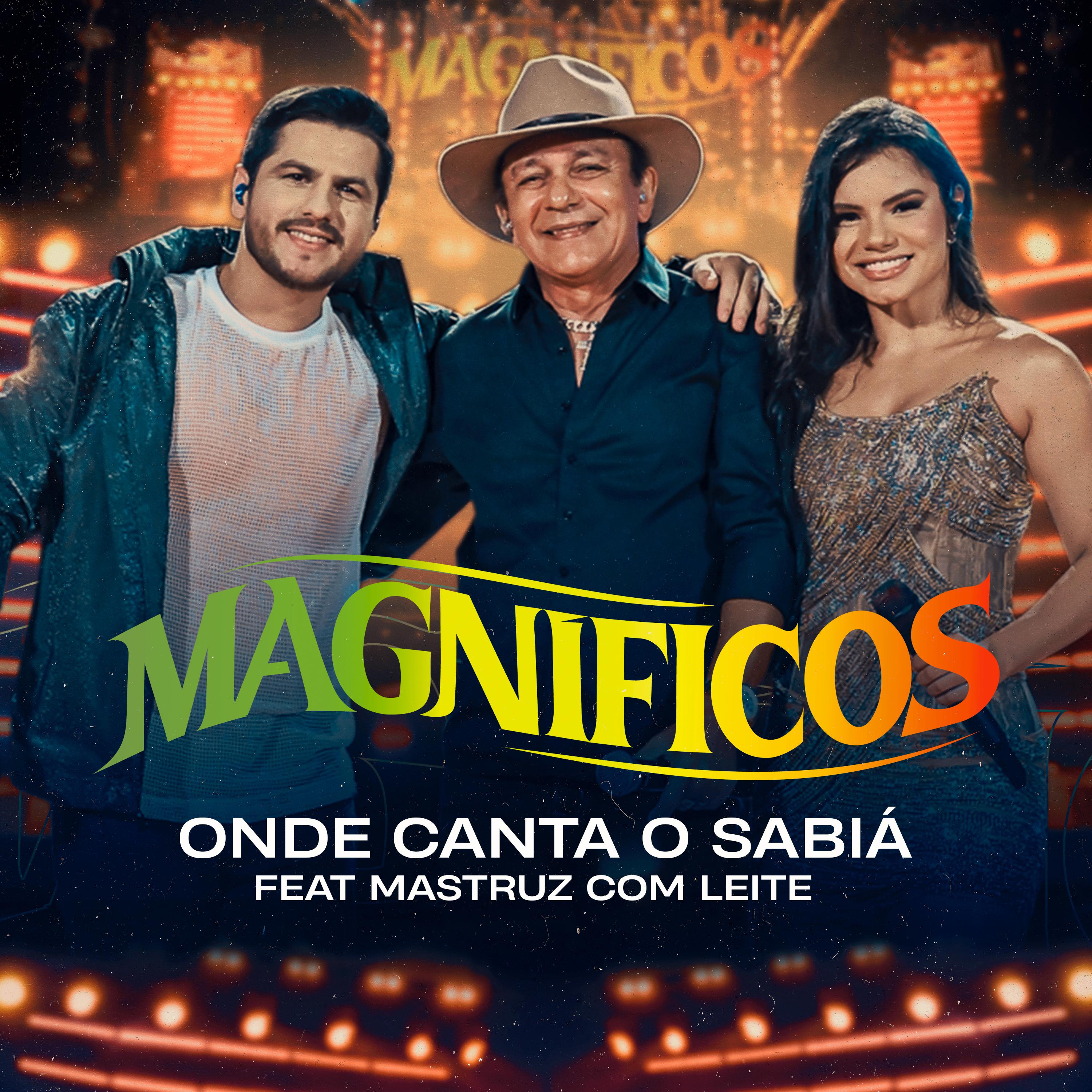Постер альбома Onde Canta o Sabiá