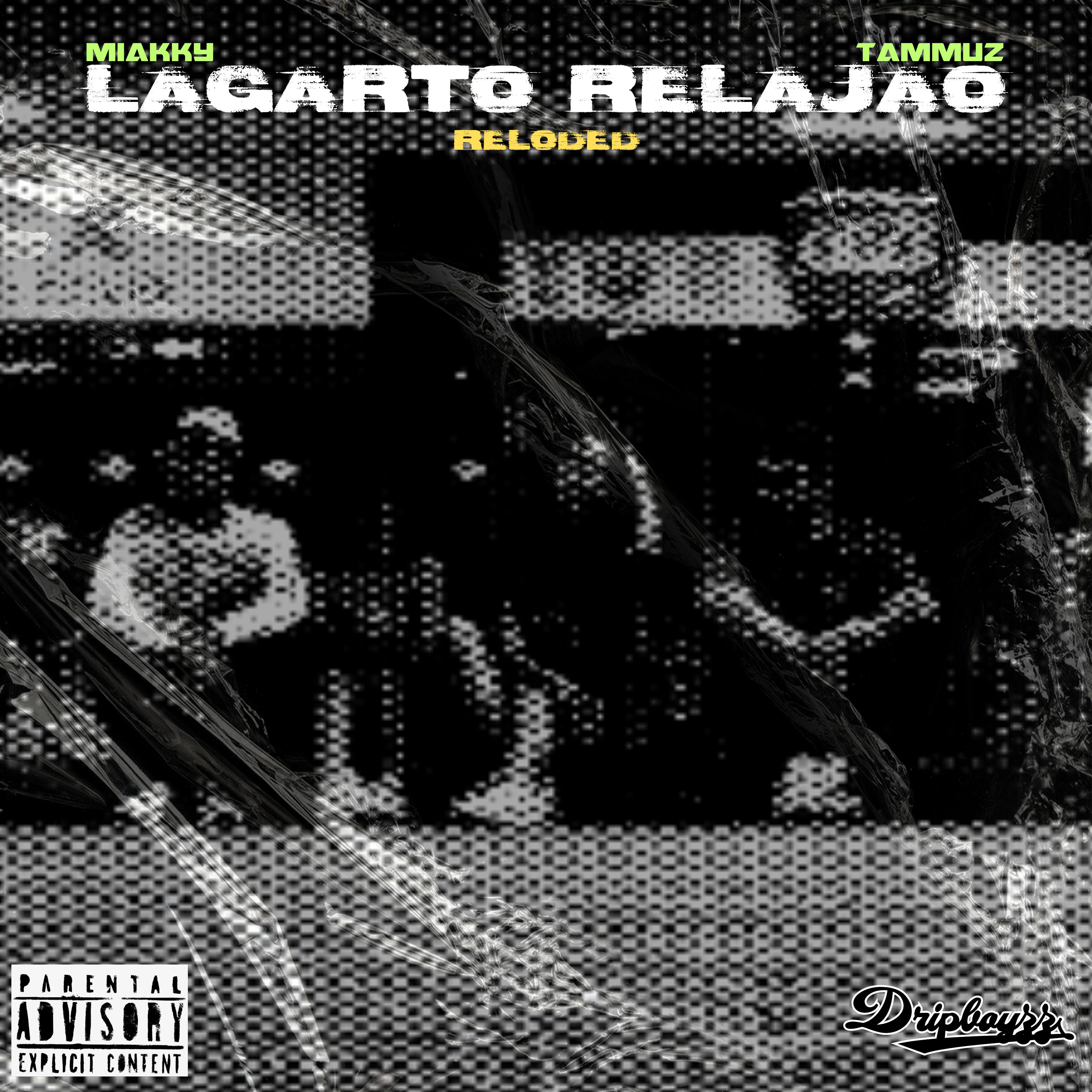 Постер альбома Lagarto Relajado (Reloded)