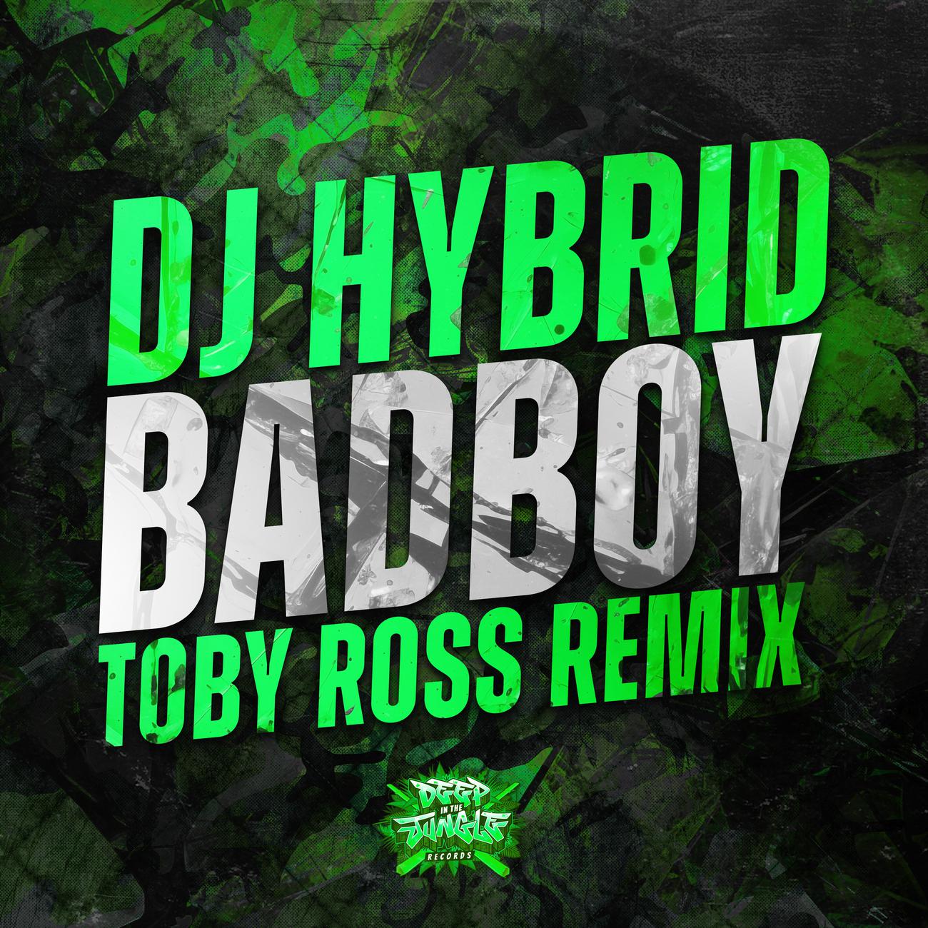 Постер альбома Badboy (Toby Ross Remix)
