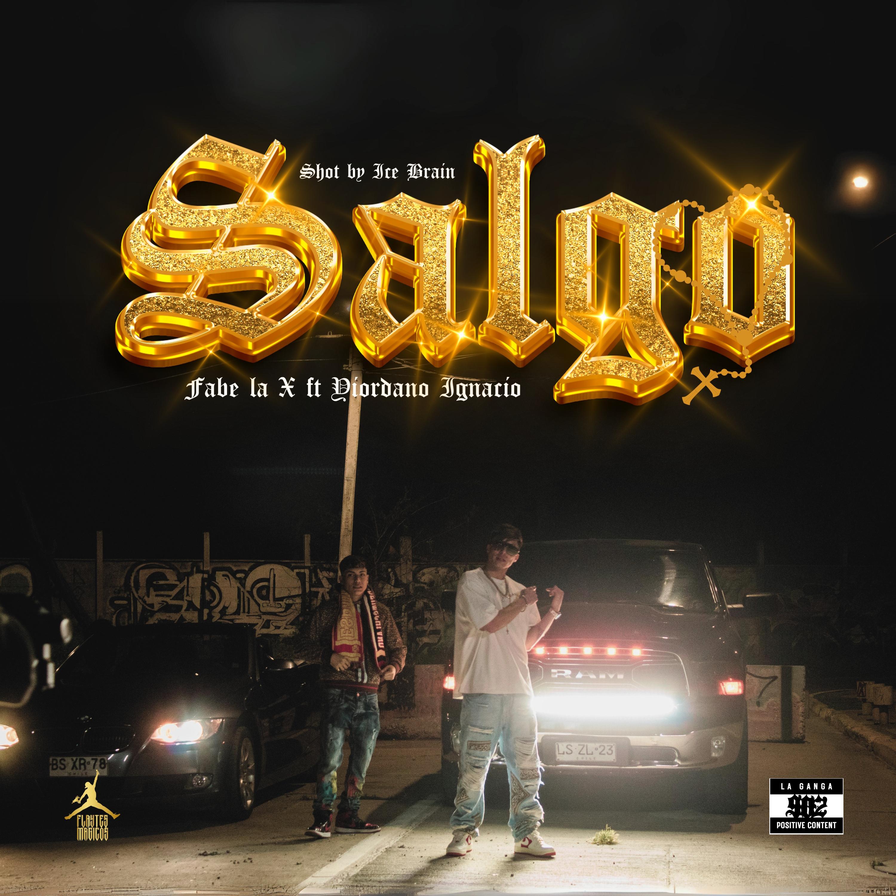 Постер альбома Salgo