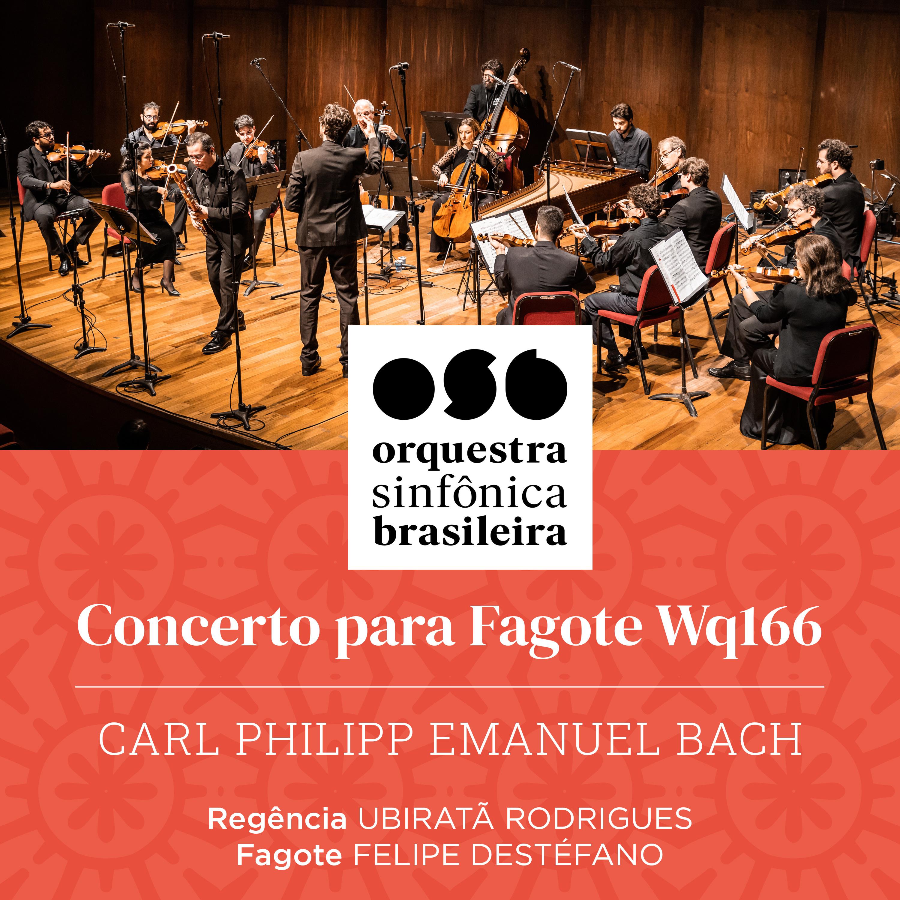 Постер альбома Concerto para Fagote Wq166