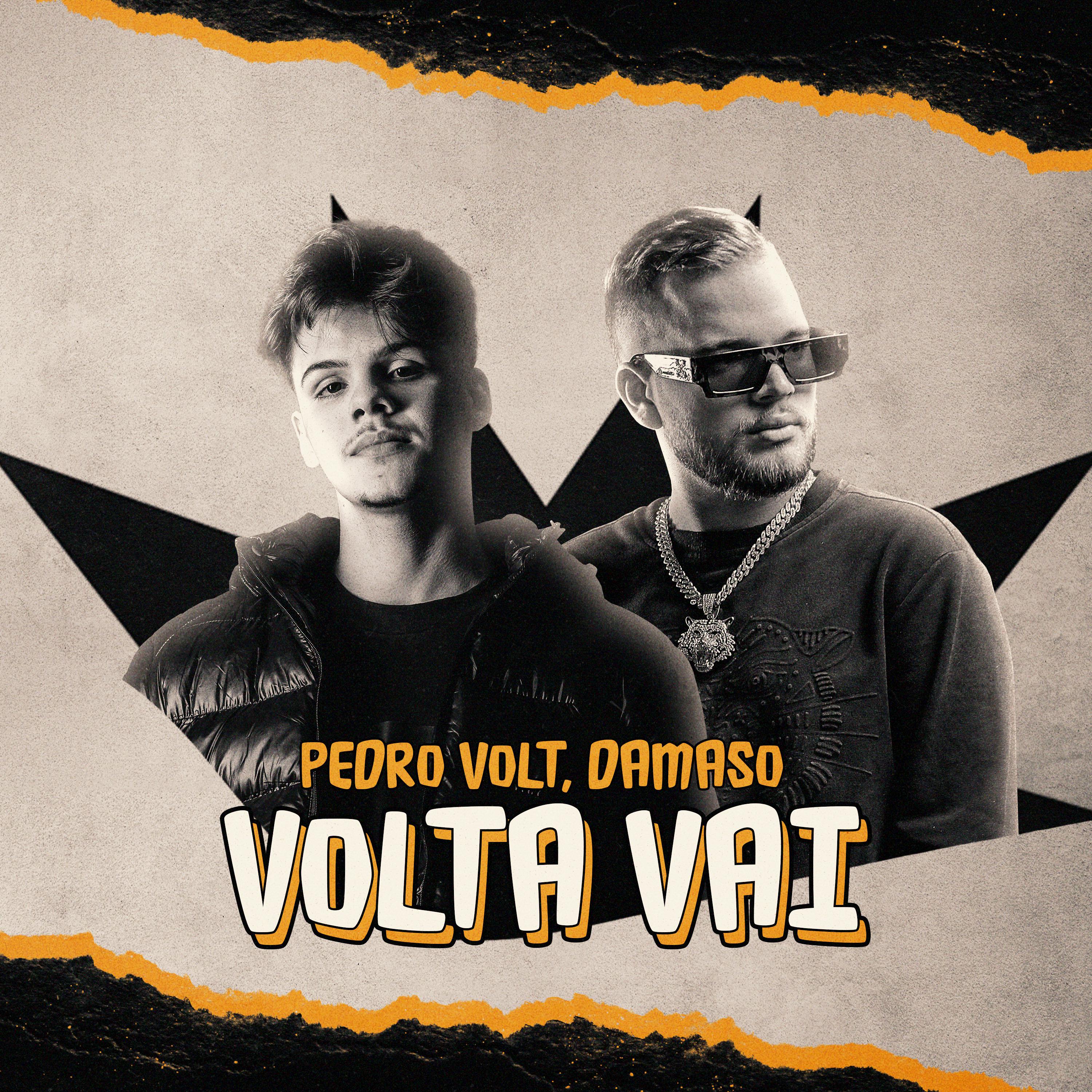 Постер альбома Volta Vai