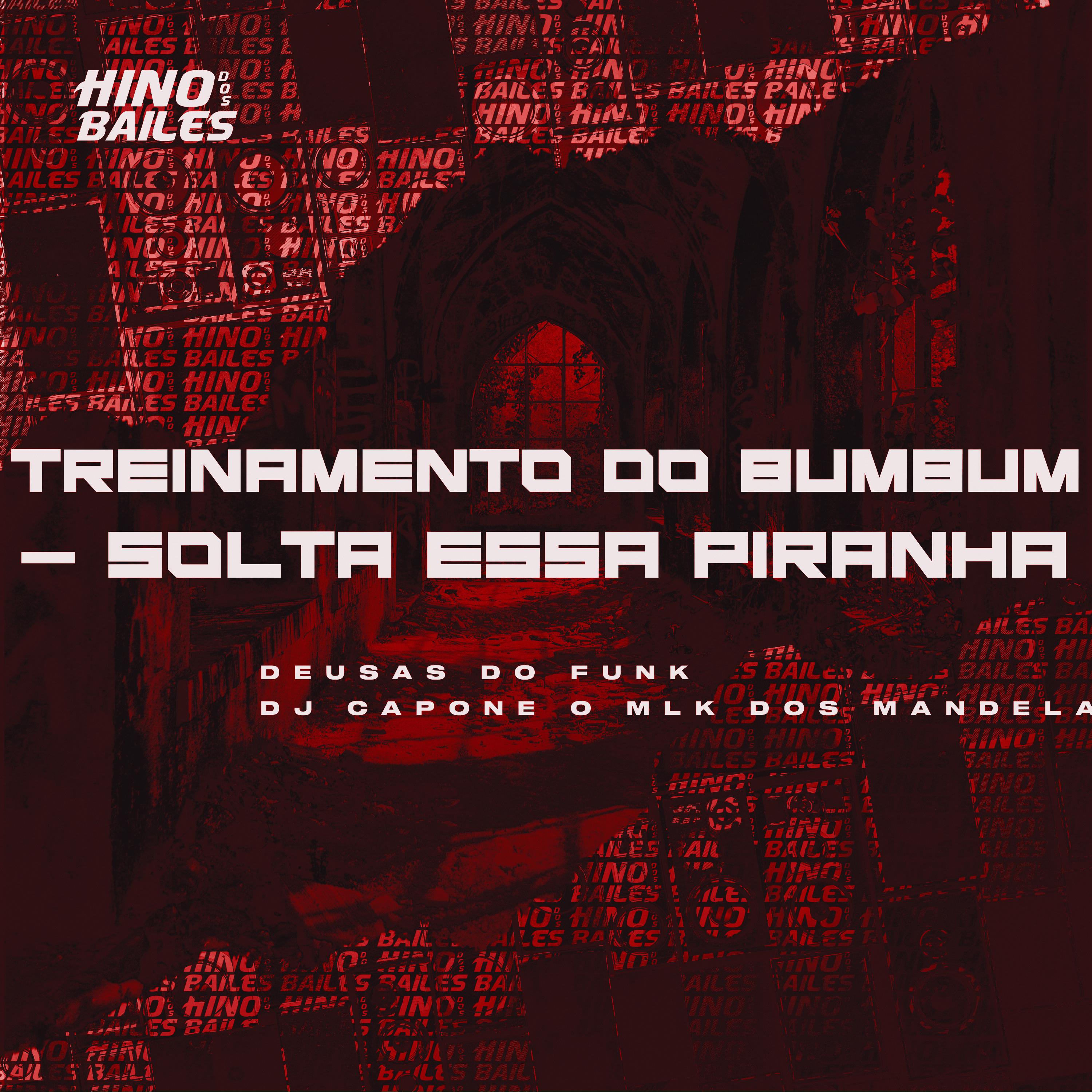 Постер альбома Treinamento do Bumbum - Solta Essa Piranha