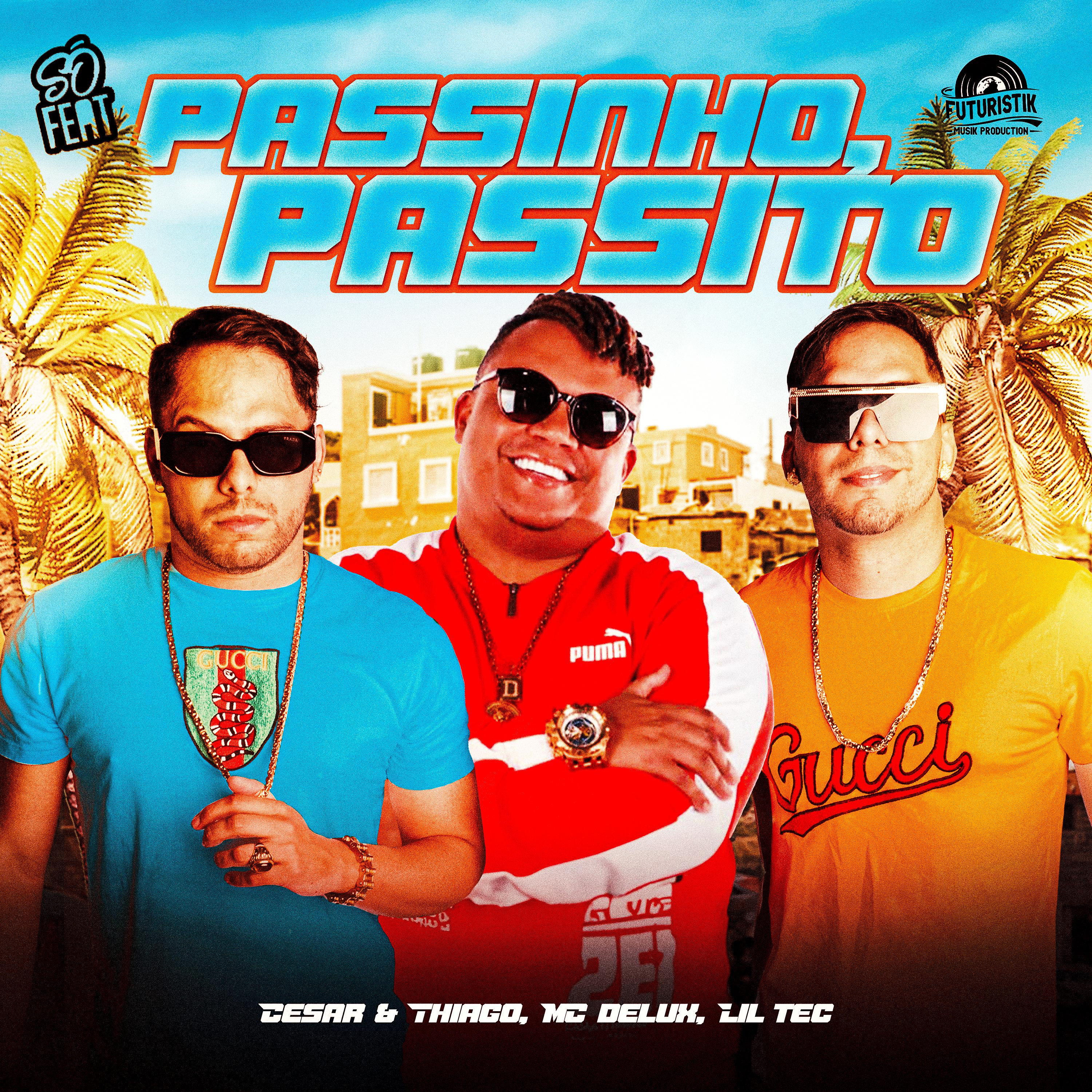 Постер альбома Passinho, Passito