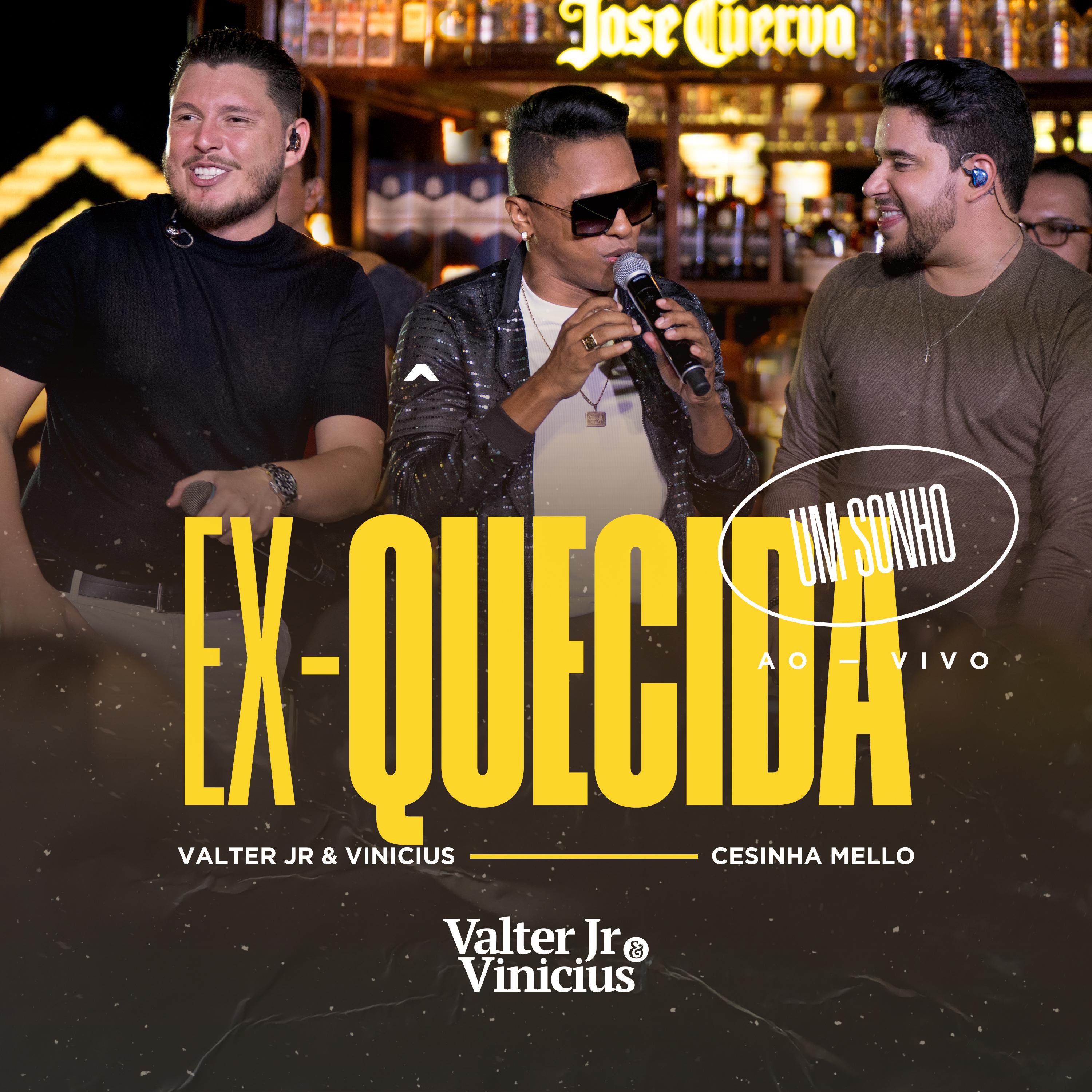 Постер альбома Ex-Quecida (Um Sonho)