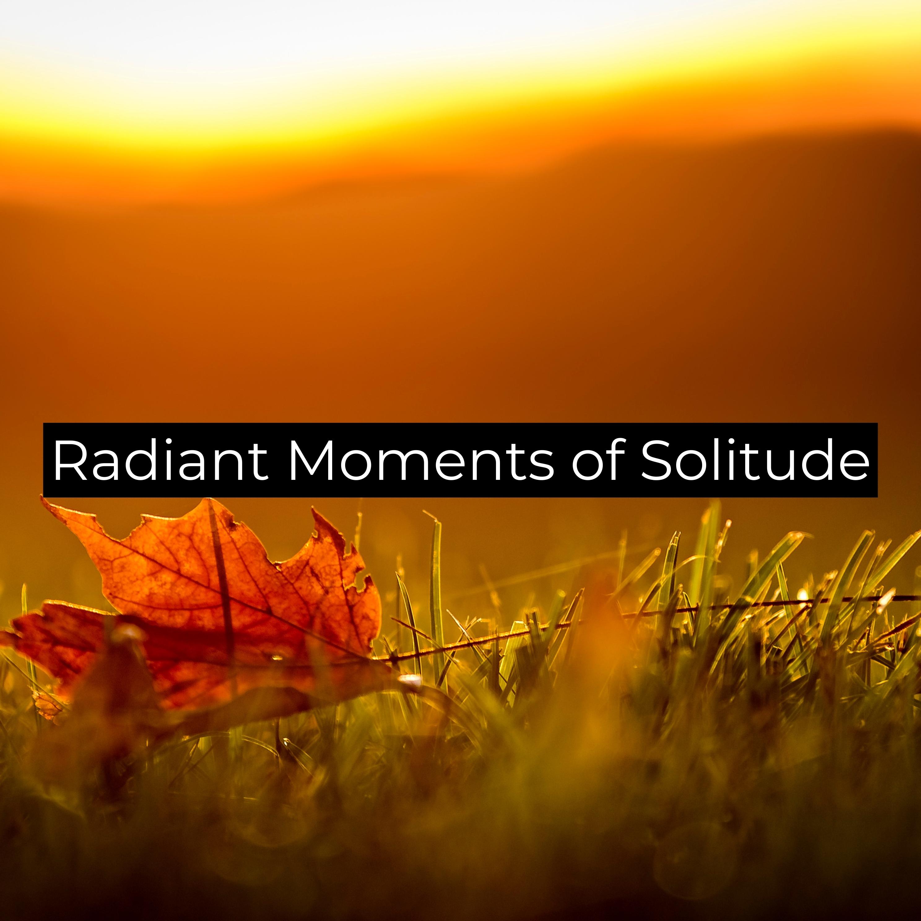 Постер альбома Radiant Moments of Solitude