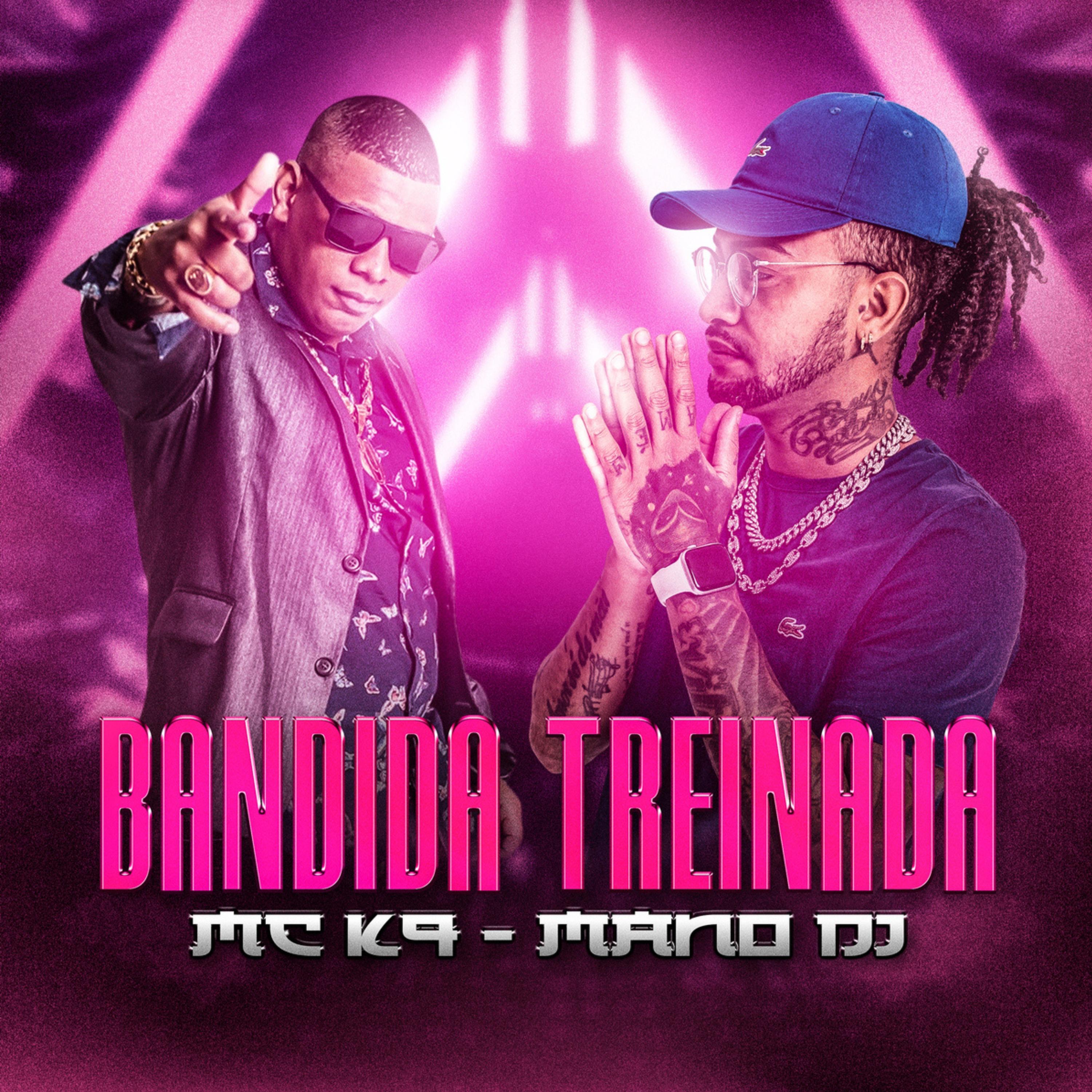 Постер альбома Bandida Treinada