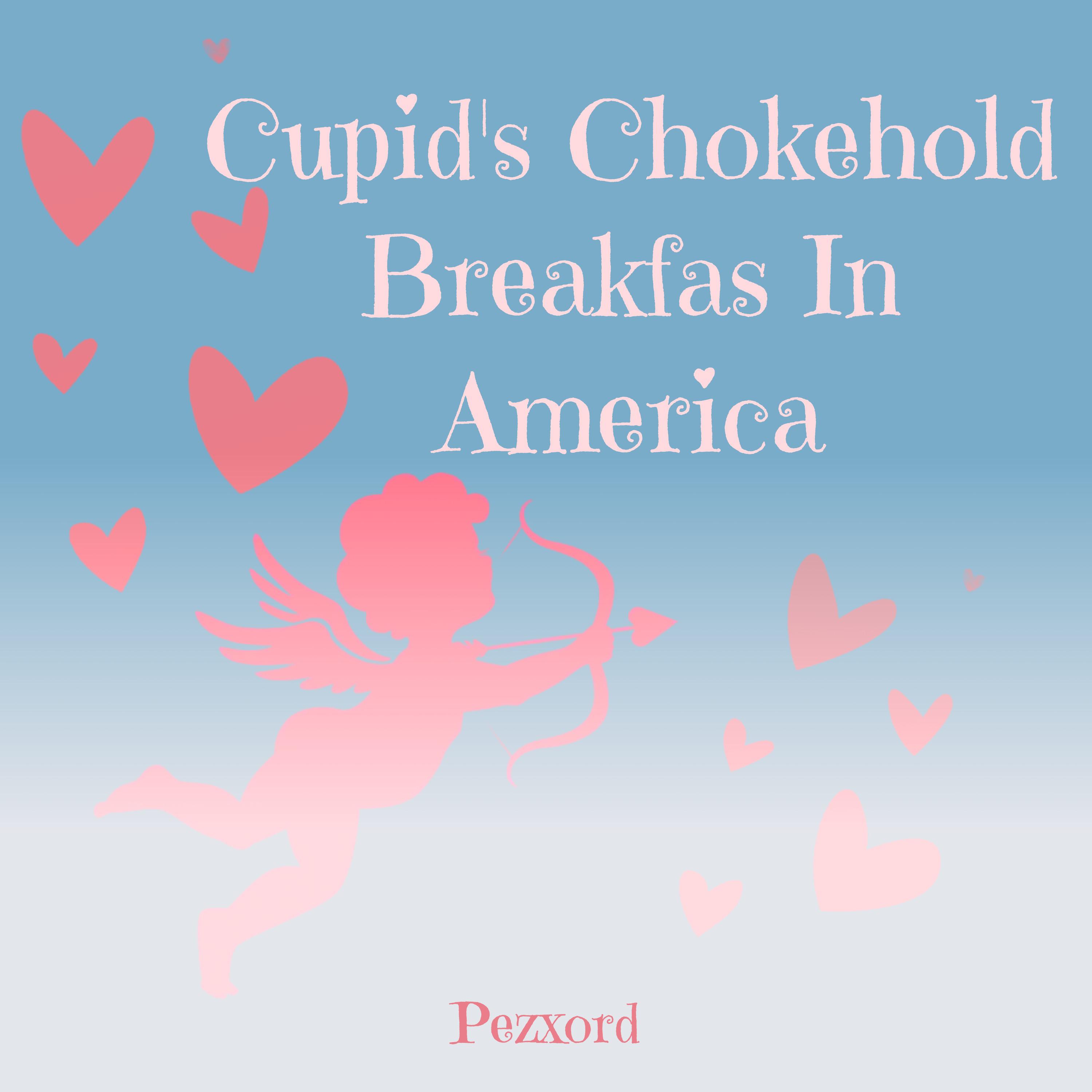Постер альбома Cupid's Chokehold Breakfas in America
