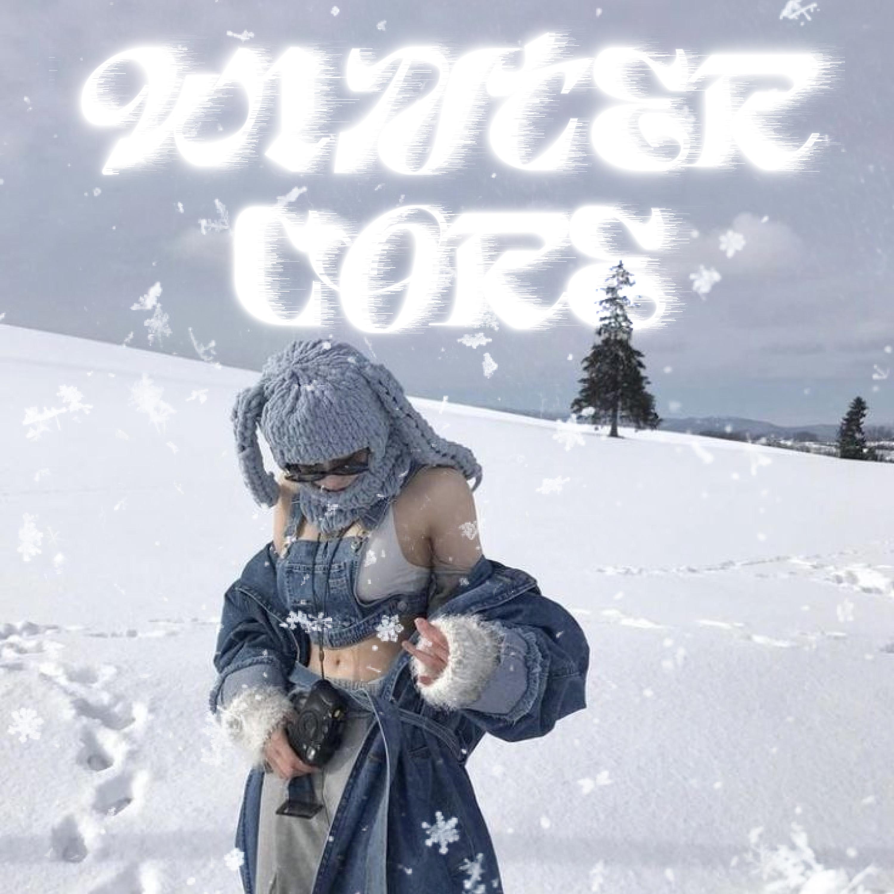 Постер альбома Winter Core