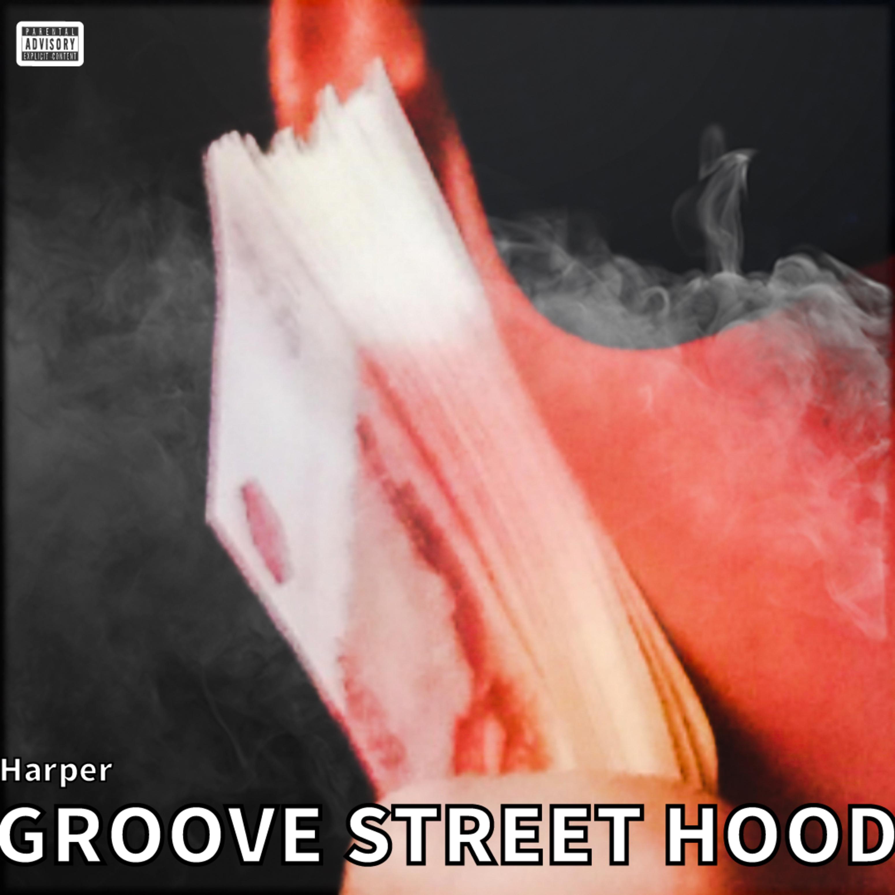 Постер альбома Groove Street Hood