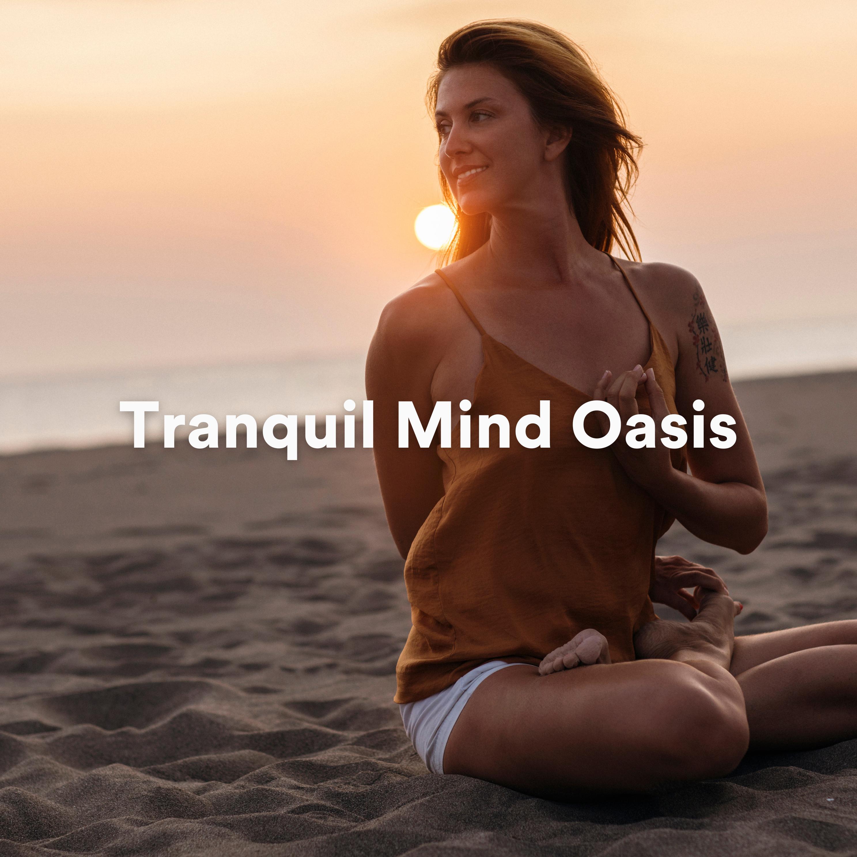 Постер альбома Tranquil Mind Oasis