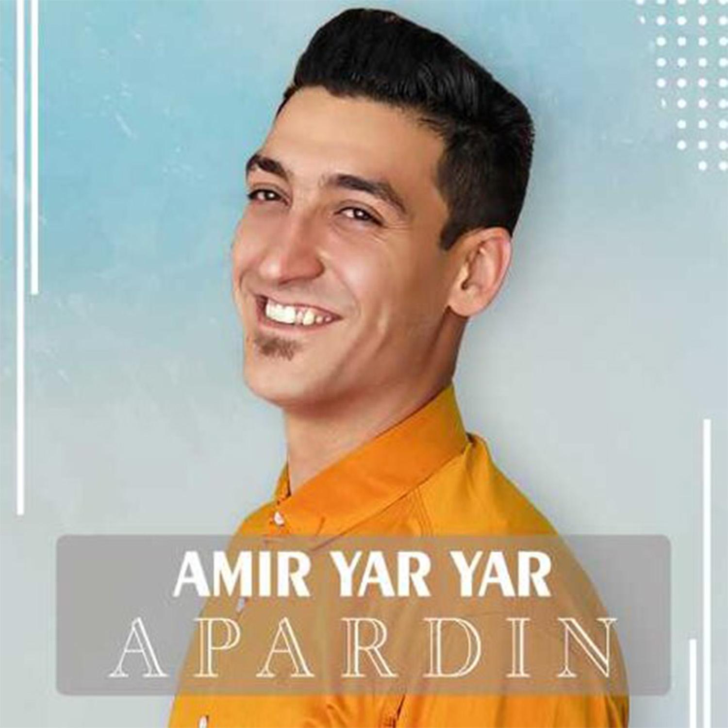 Постер альбома Apardin