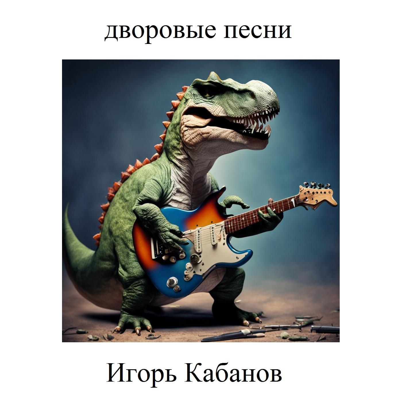 Постер альбома Дворовые песни