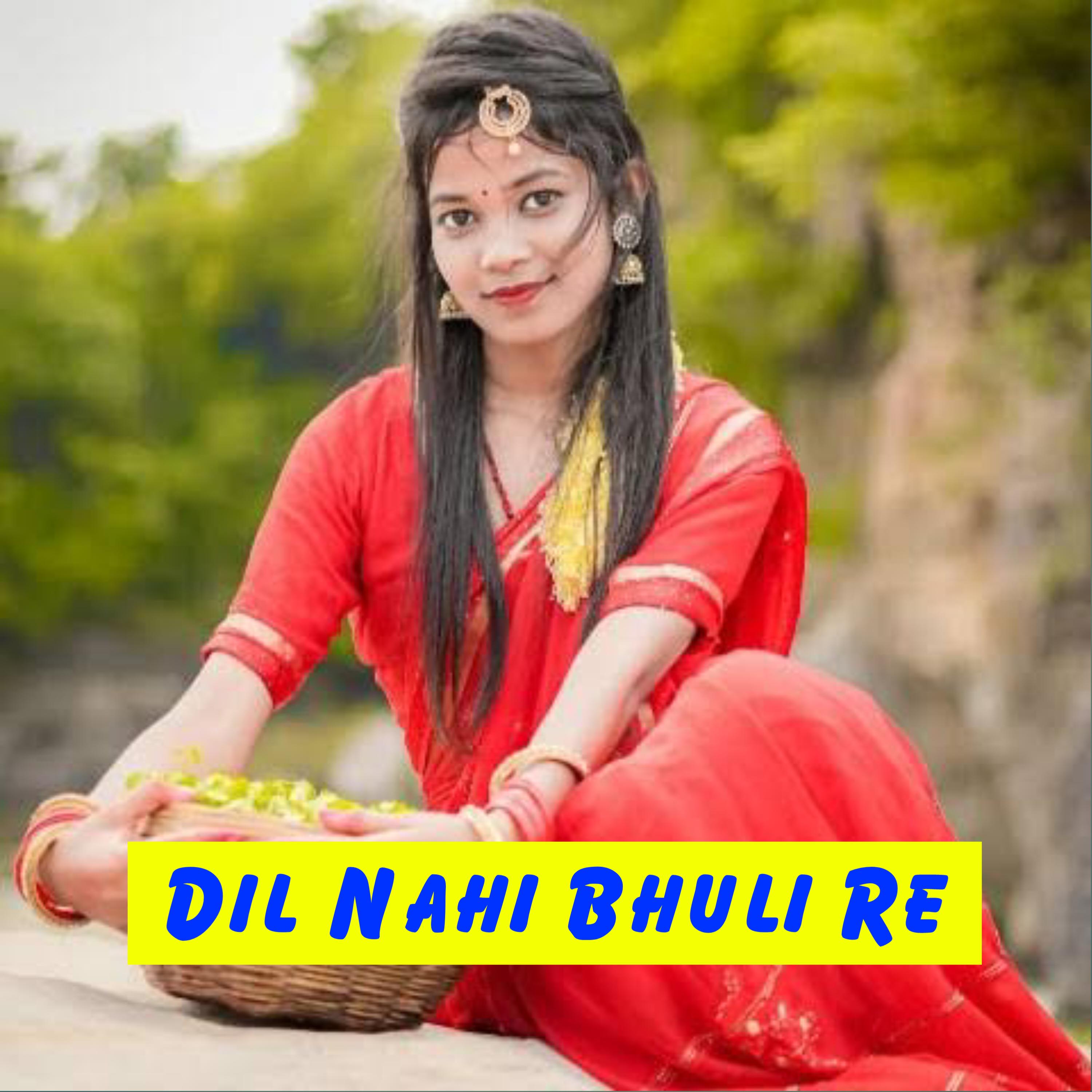 Постер альбома Dil Nahi Bhuli Re