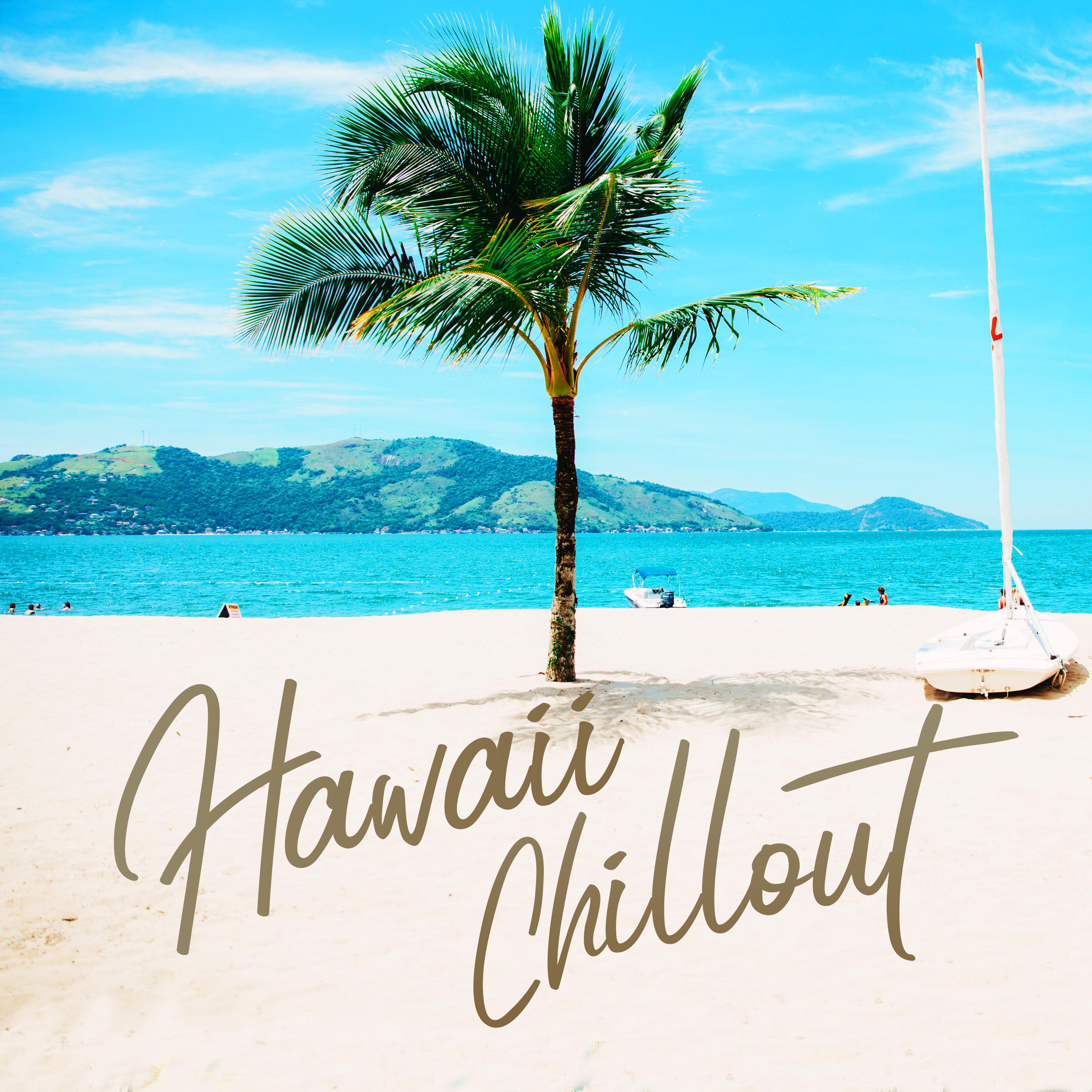 Постер альбома Hawaii Chillout