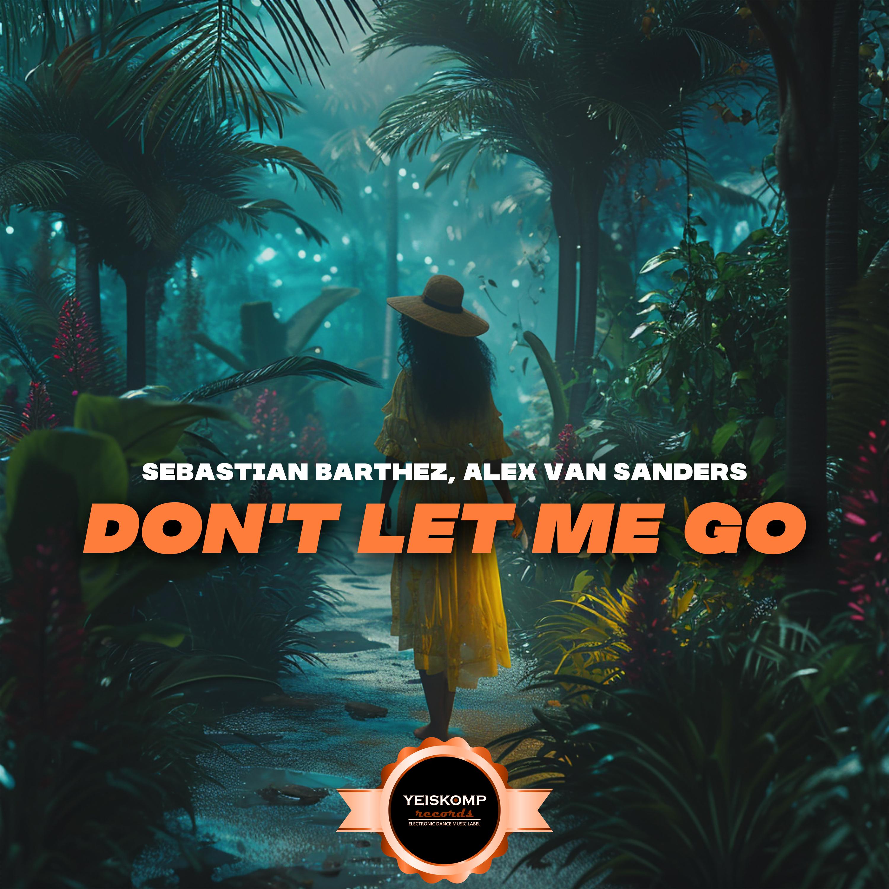 Постер альбома Don't Let Me Go