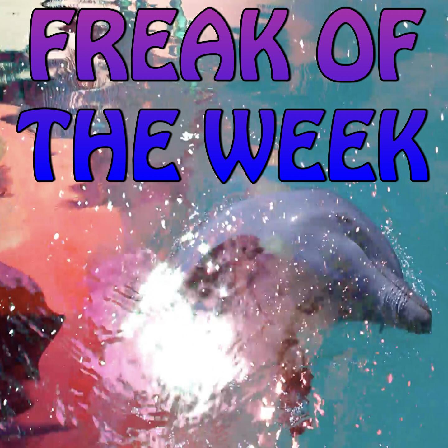 T.A.C Nation - Freak of the Week - Tribute to Krept and Konan and Jeremih (Instrumental Version)